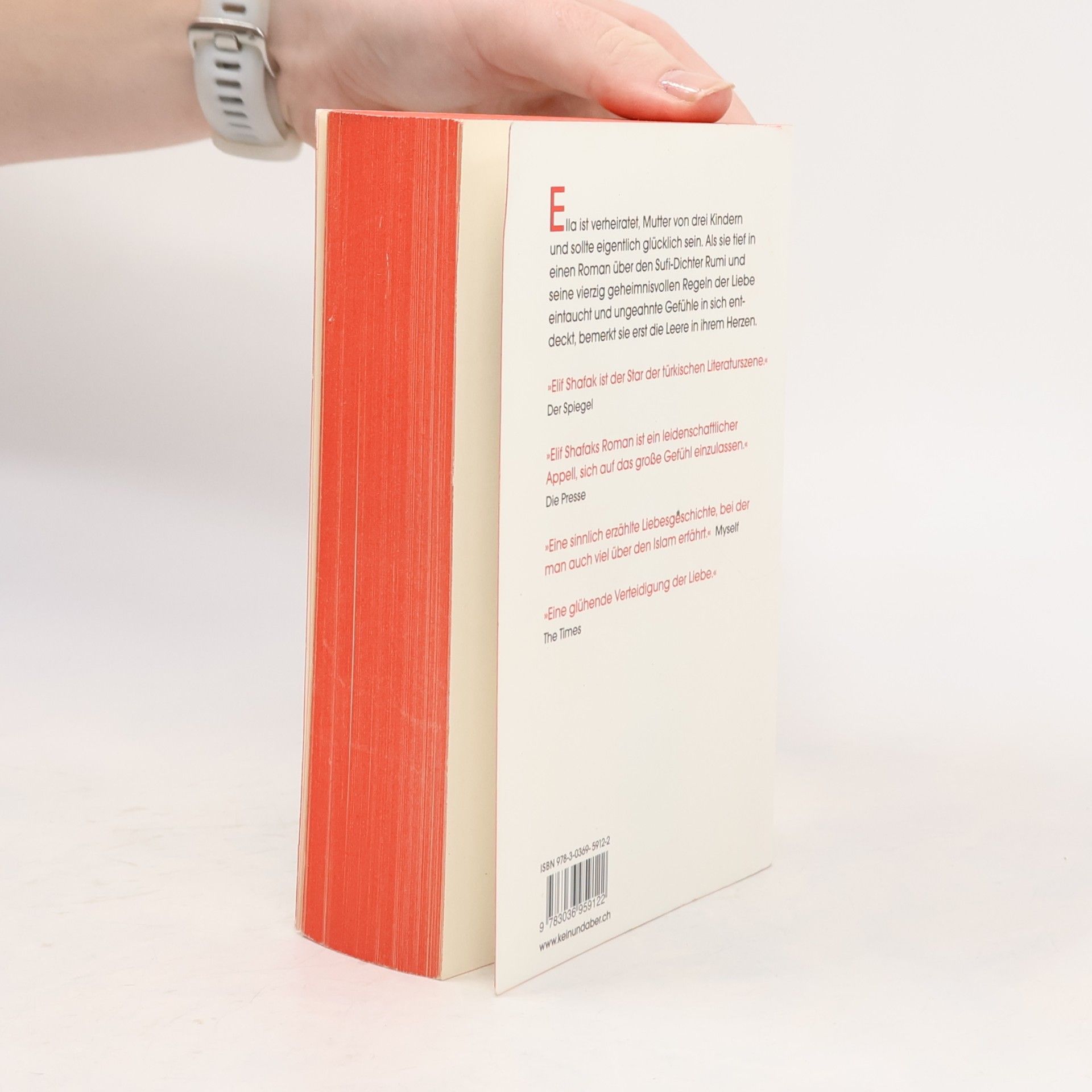 Elif Shafak Die vierzig Geheimnisse der Liebe