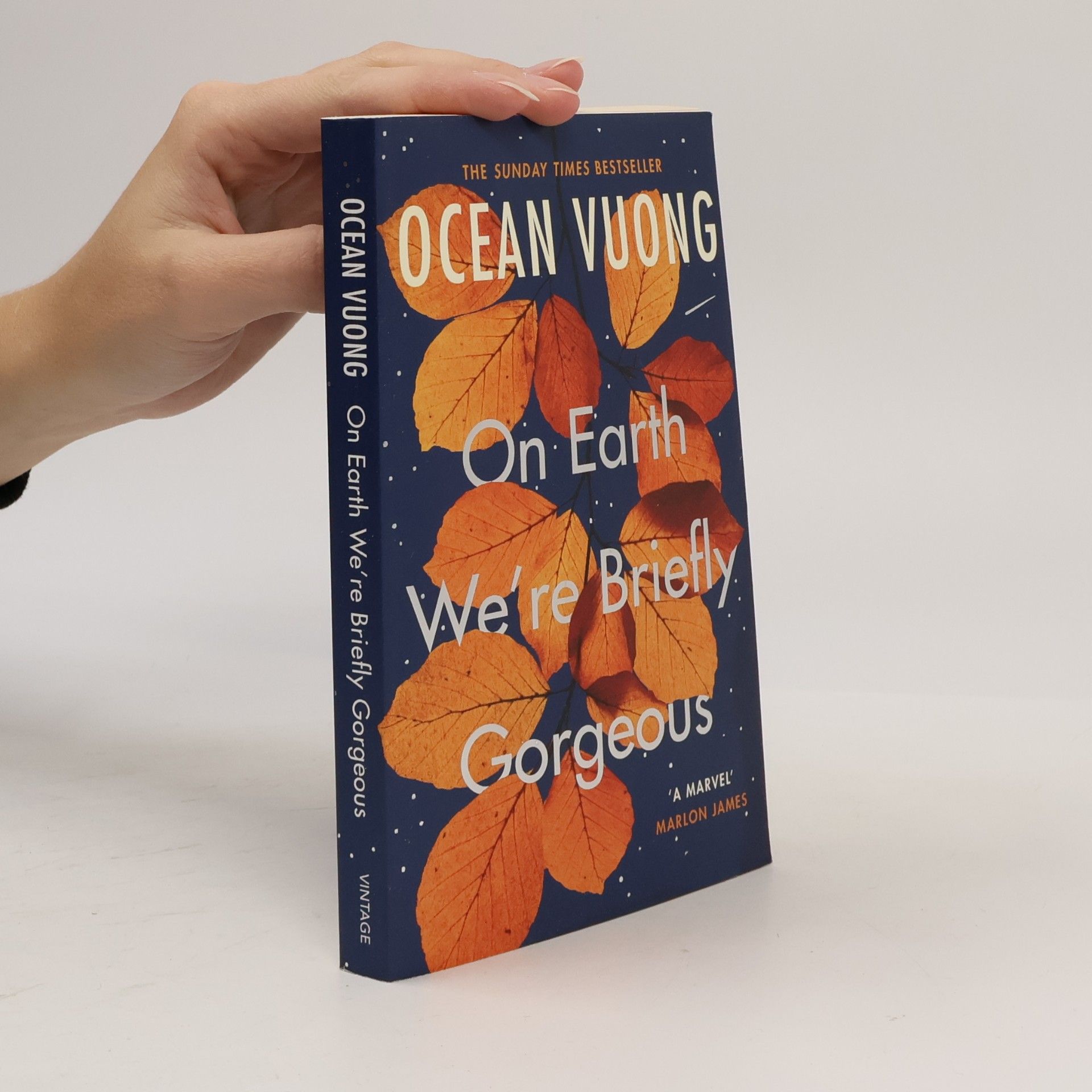On Earth We're Briefly Gorgeous