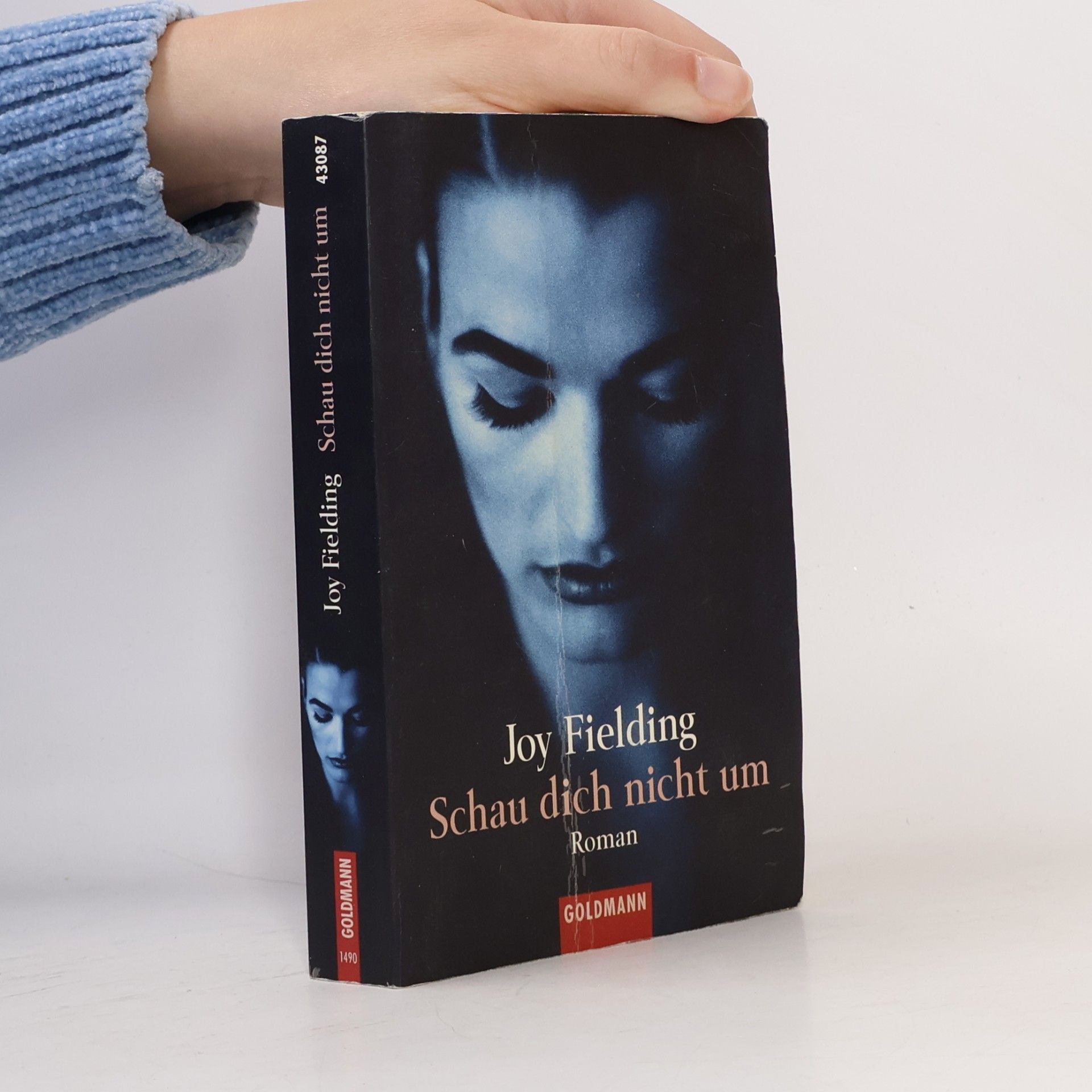 Joy Fielding Schau dich nicht um