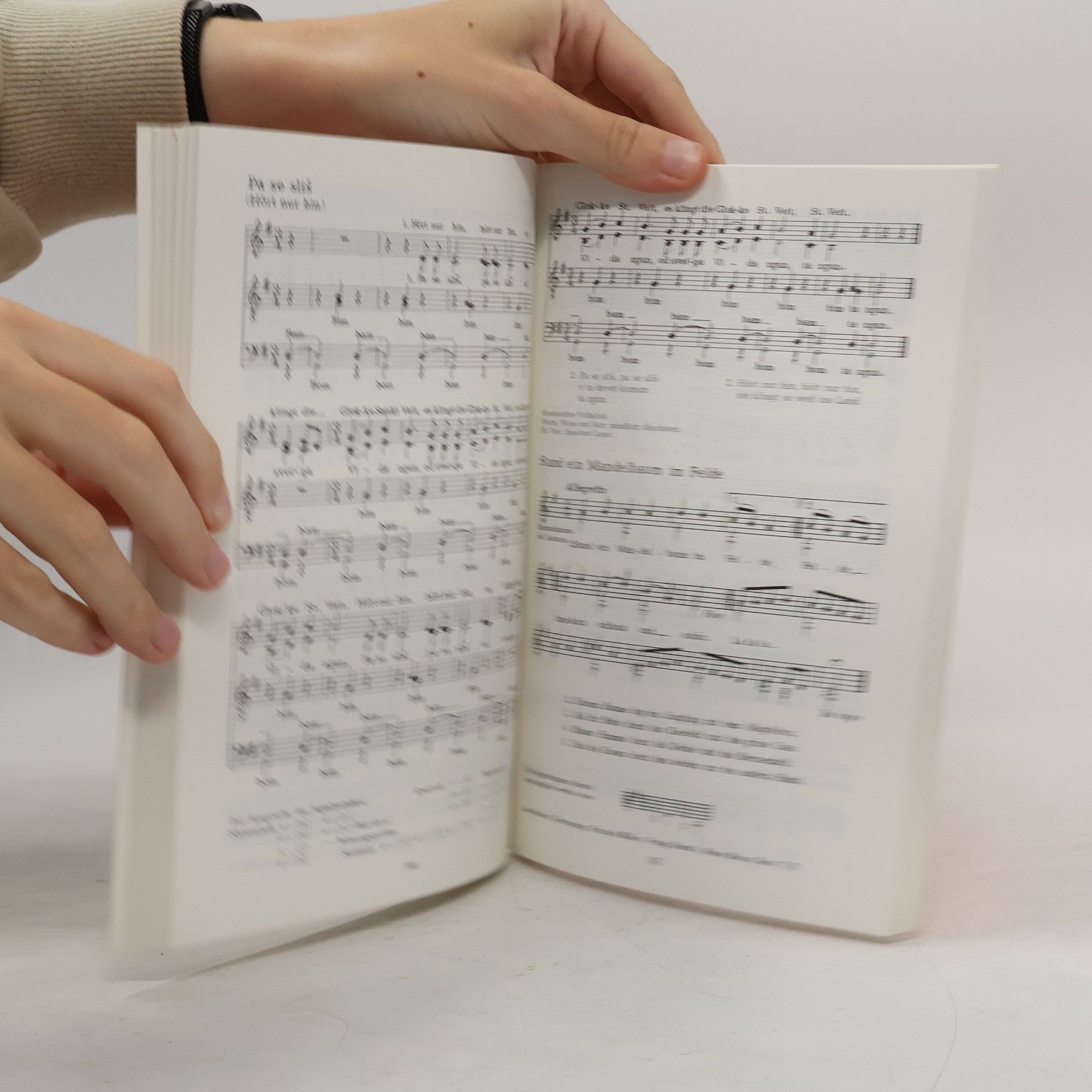 Rudolf Schwarz Lieder der Zeiten