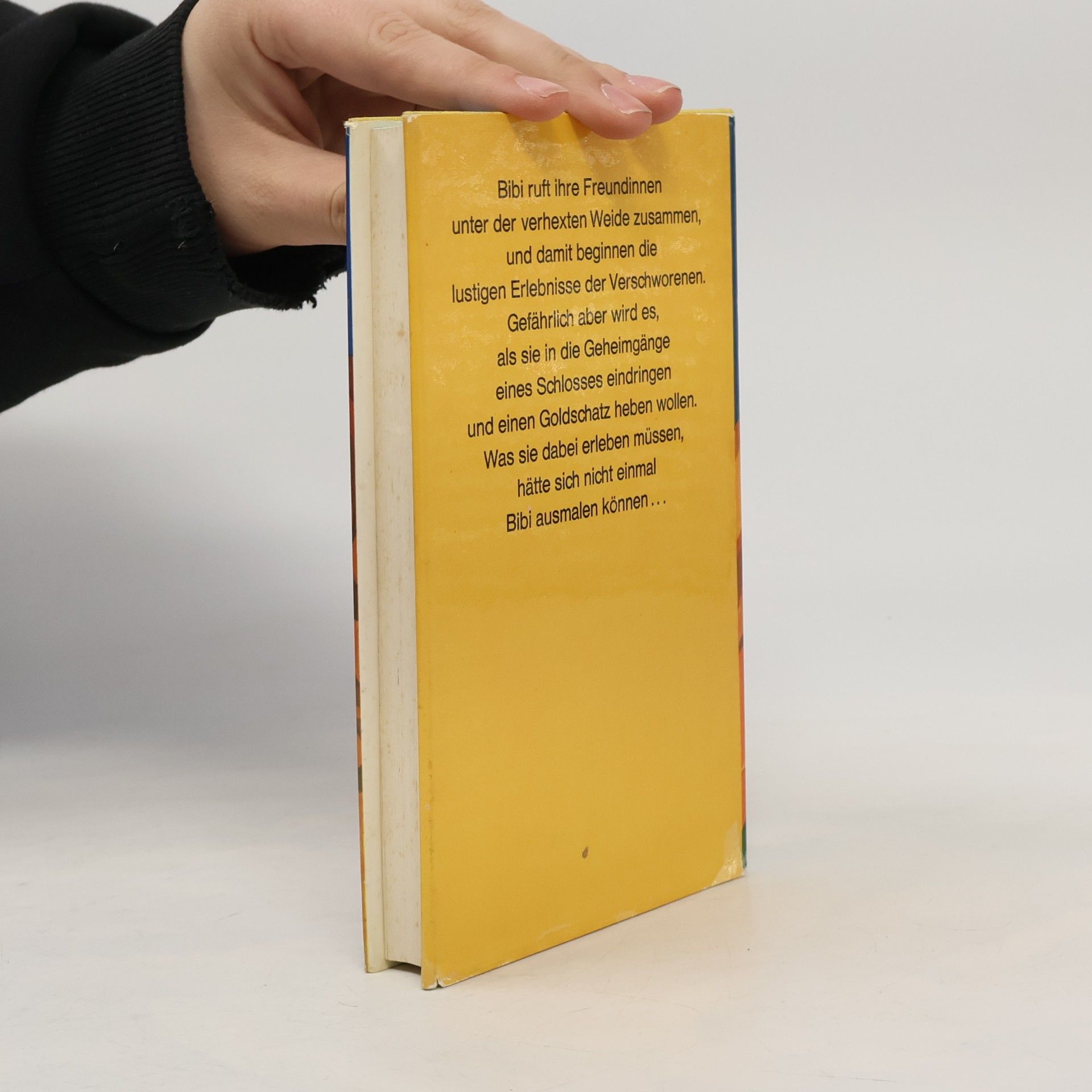 Karin Michaelis Bibi und die Verschurorenen