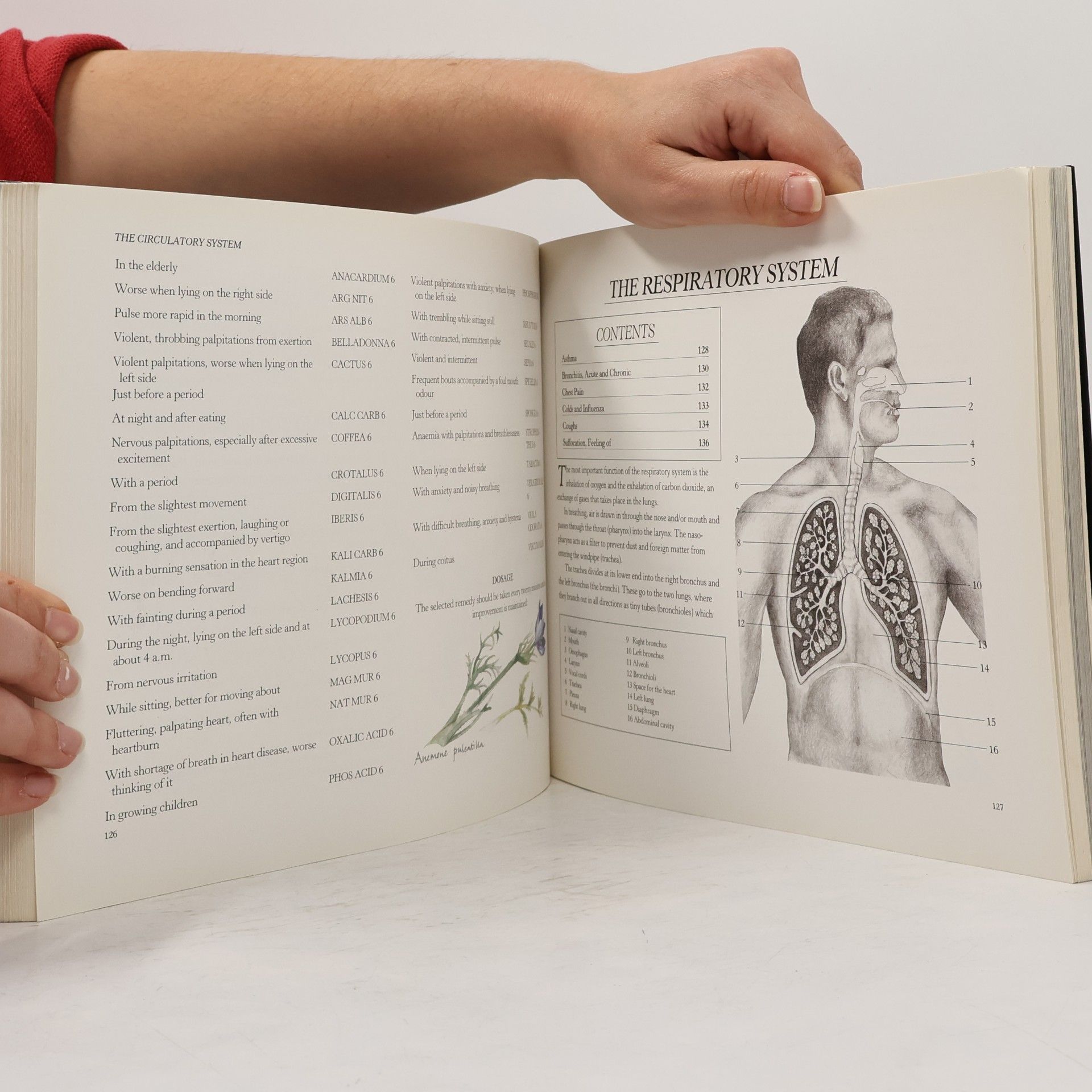 Barry Rose The Family Health Guide to Homeopathy