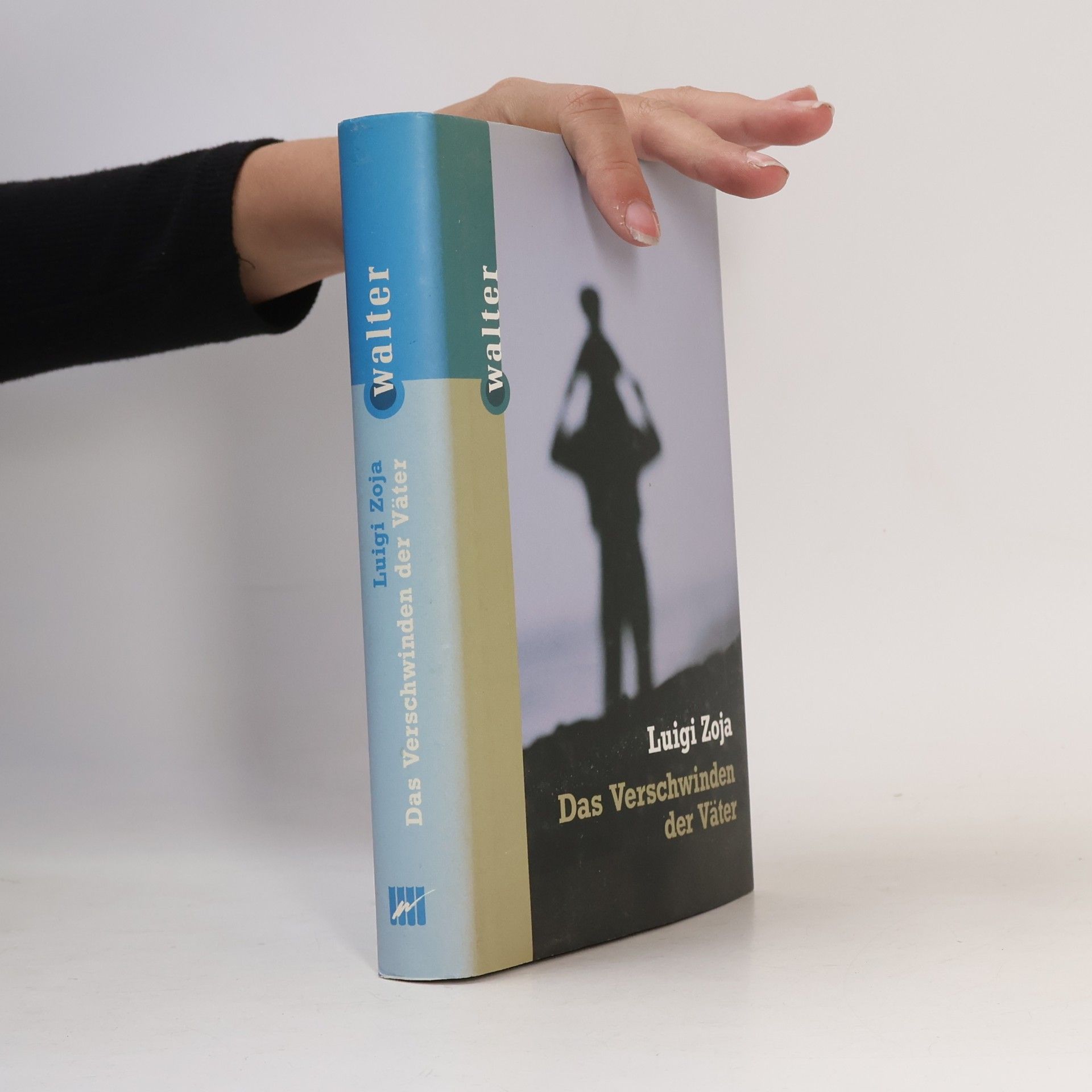 Das Verschwinden der Väter