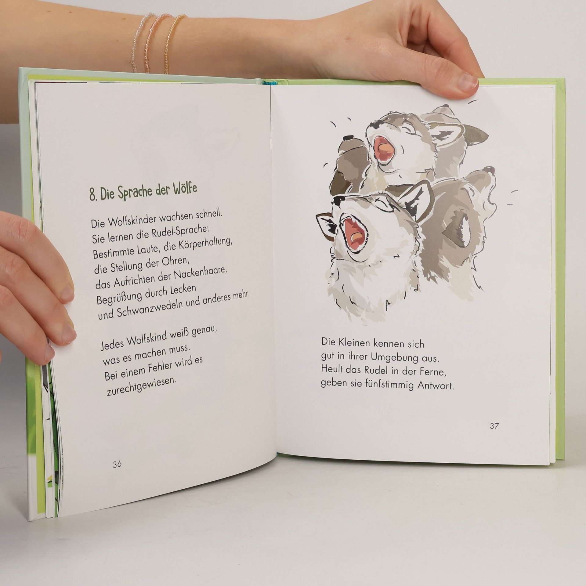 Christine Rettl Gut geheult, kleiner Wolf!
