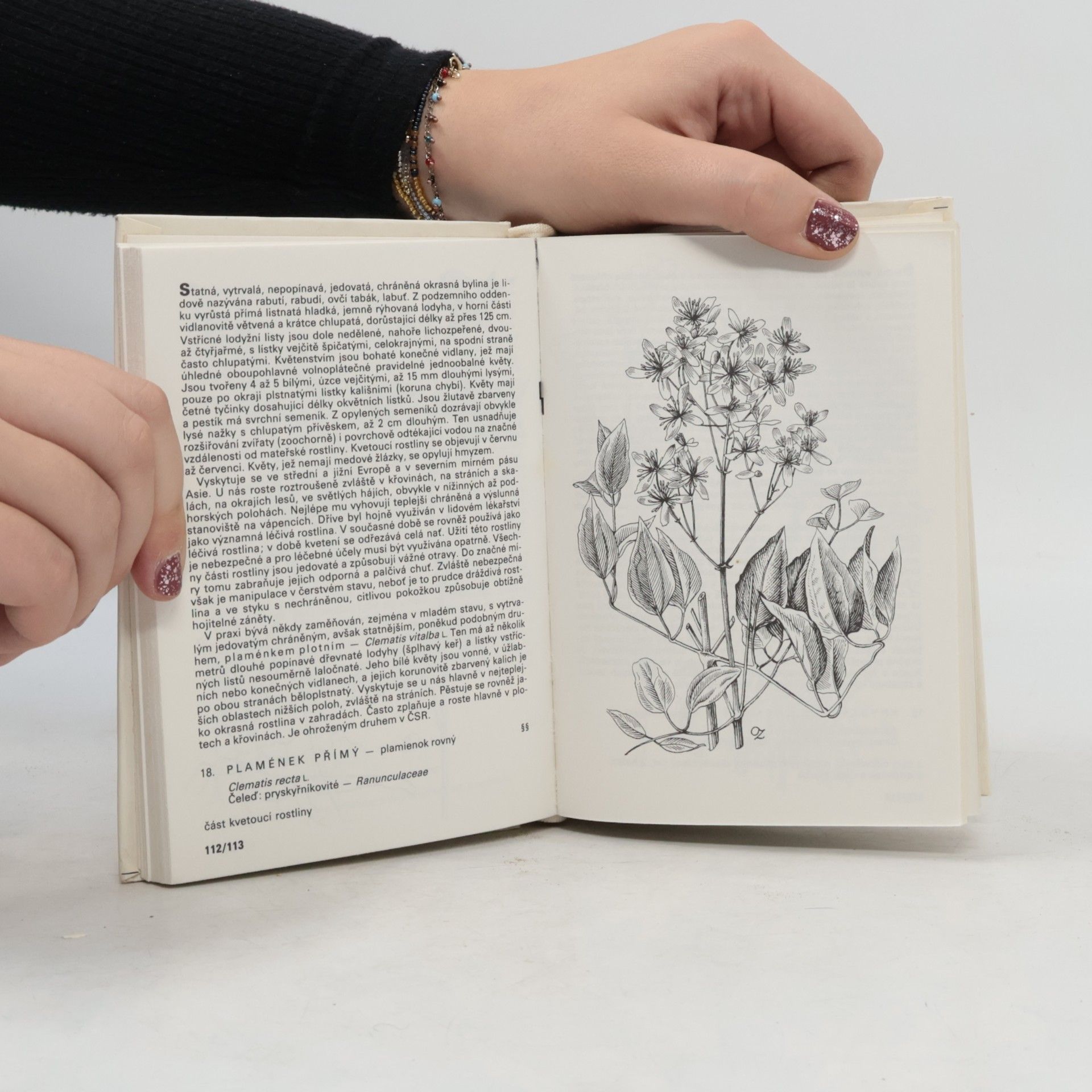 František Hron Rostliny strání, skal, křovin a lesů. Kapesní atlas