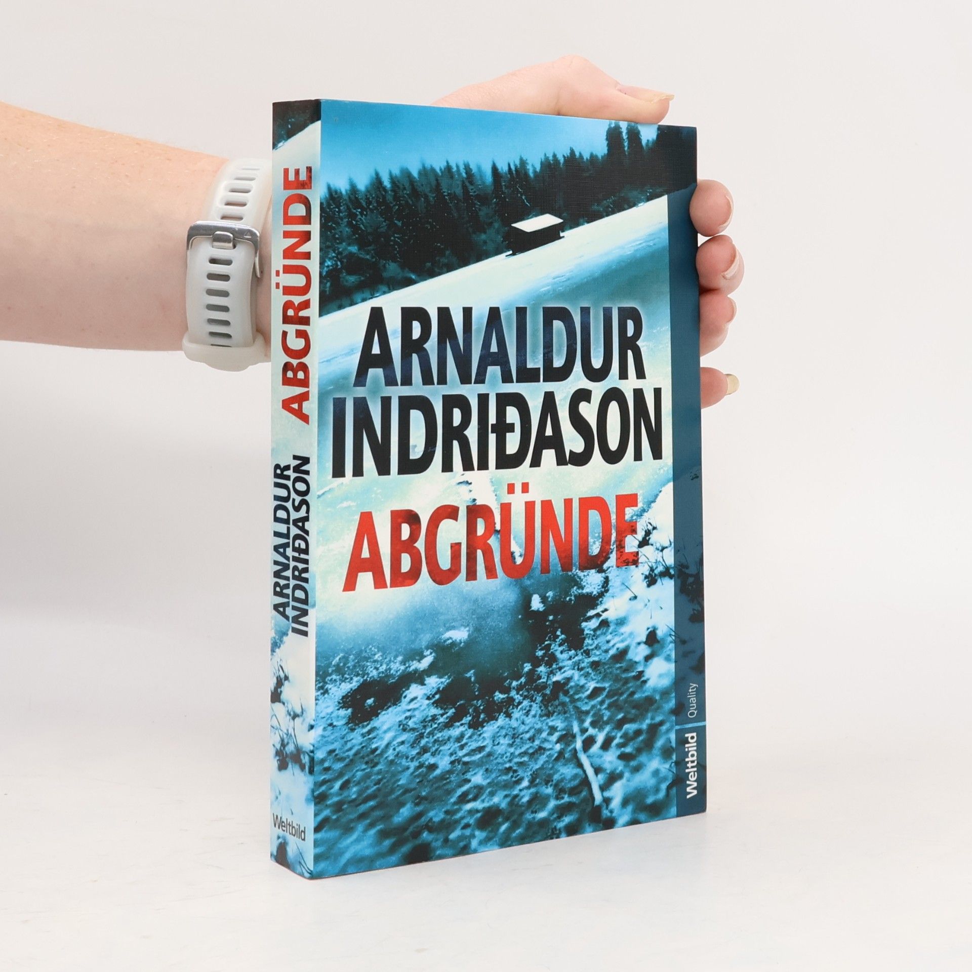 Arnaldur Indriðason Abgründe