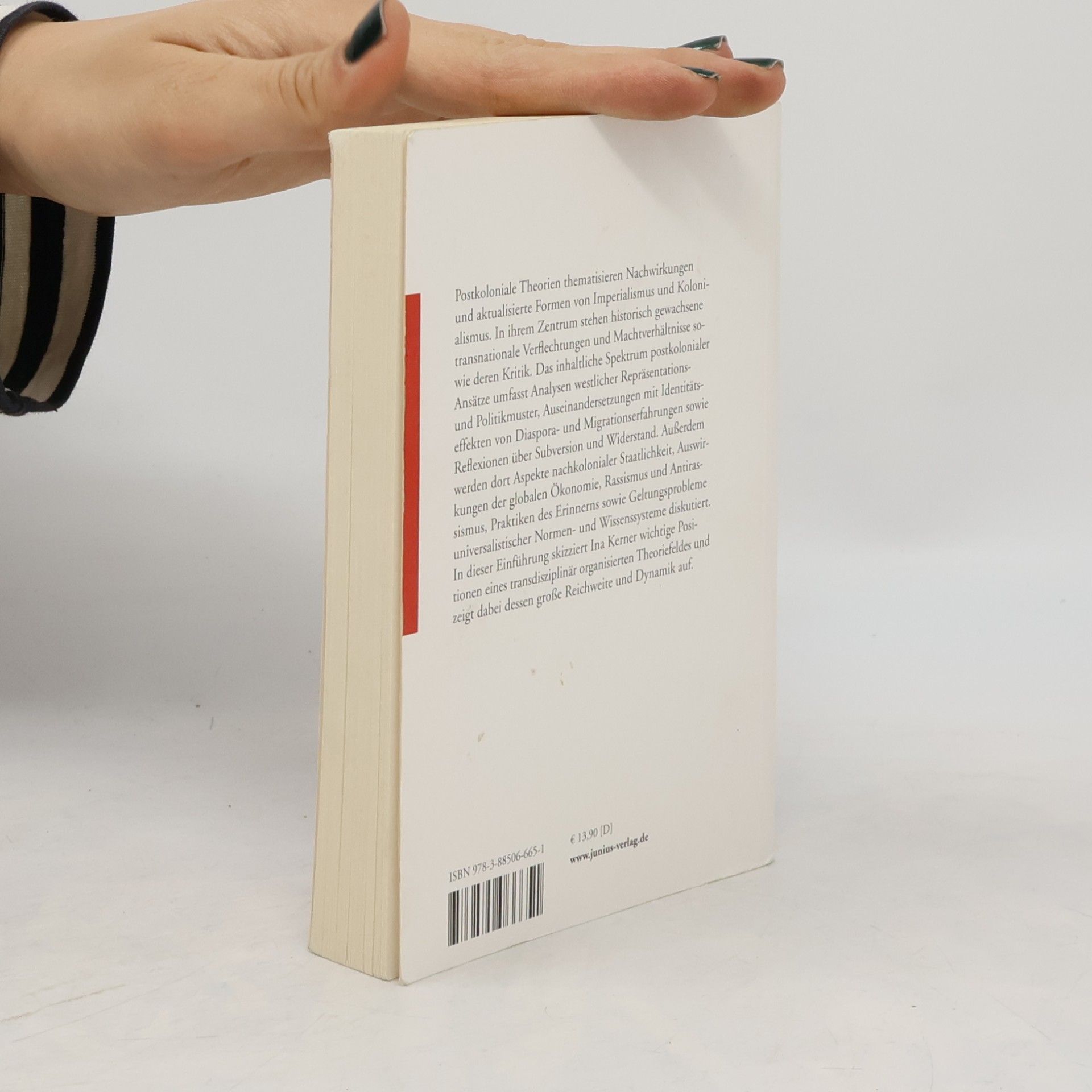 Ina Kerner Postkoloniale Theorien zur Einführung