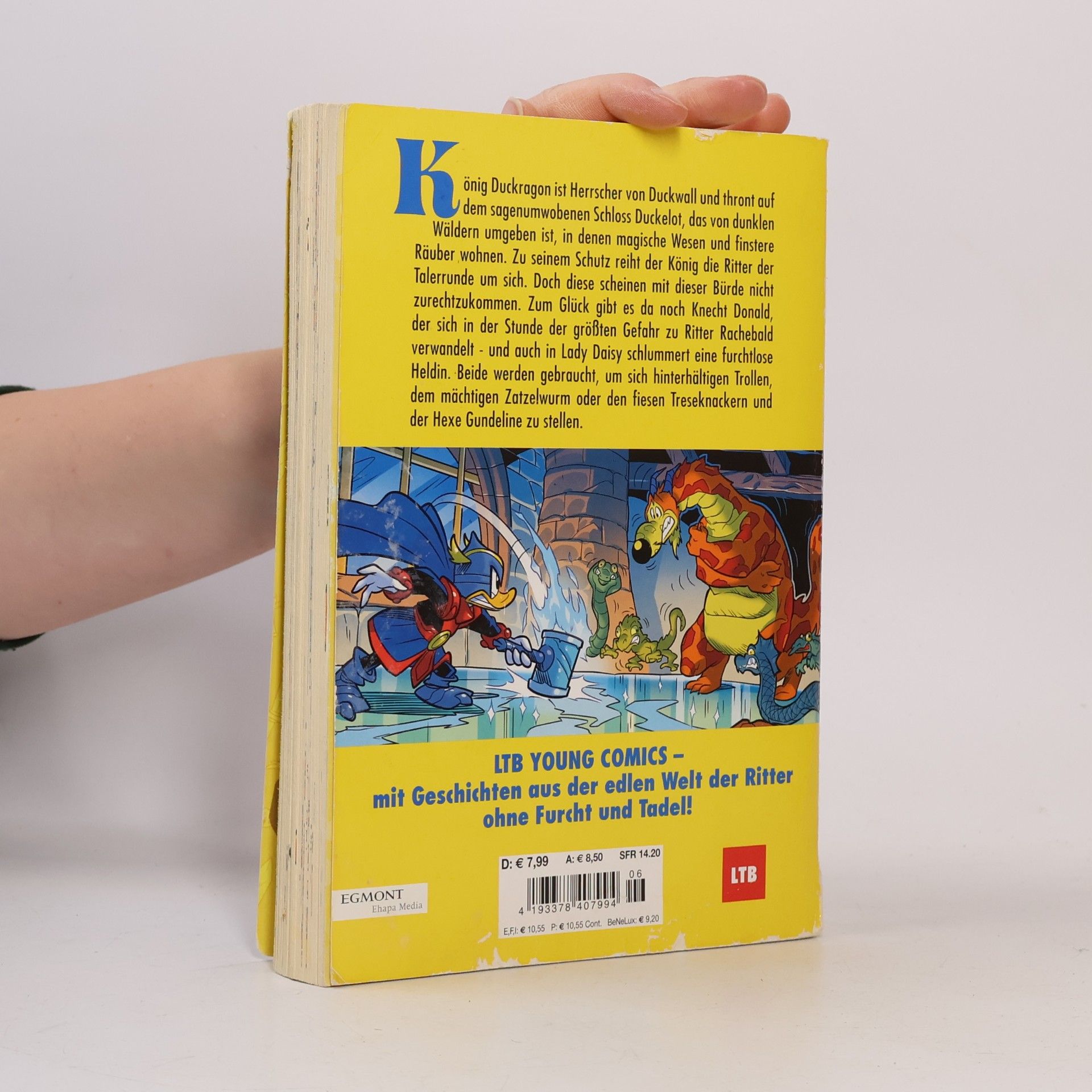 Peter Höpfner Tagebuch eines furchtlosen Ritters