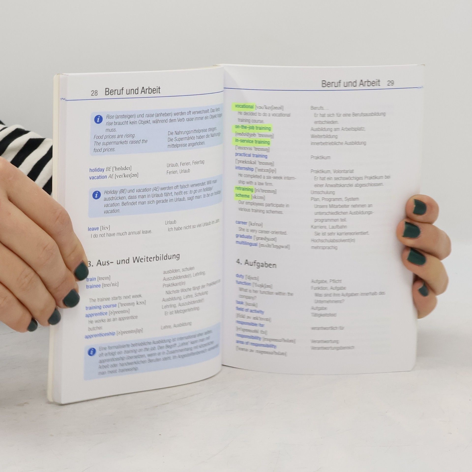 Patricia McBride Basiswortschatz Business English