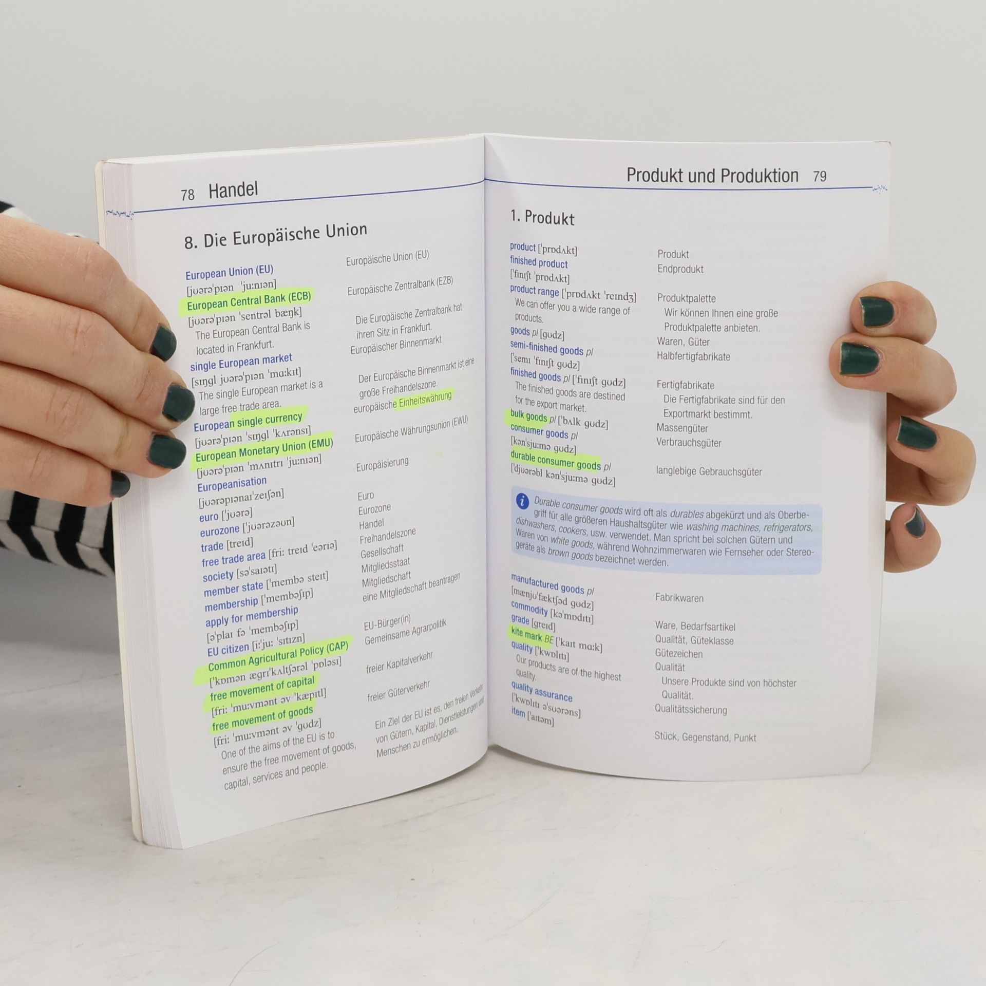 Patricia McBride Basiswortschatz Business English