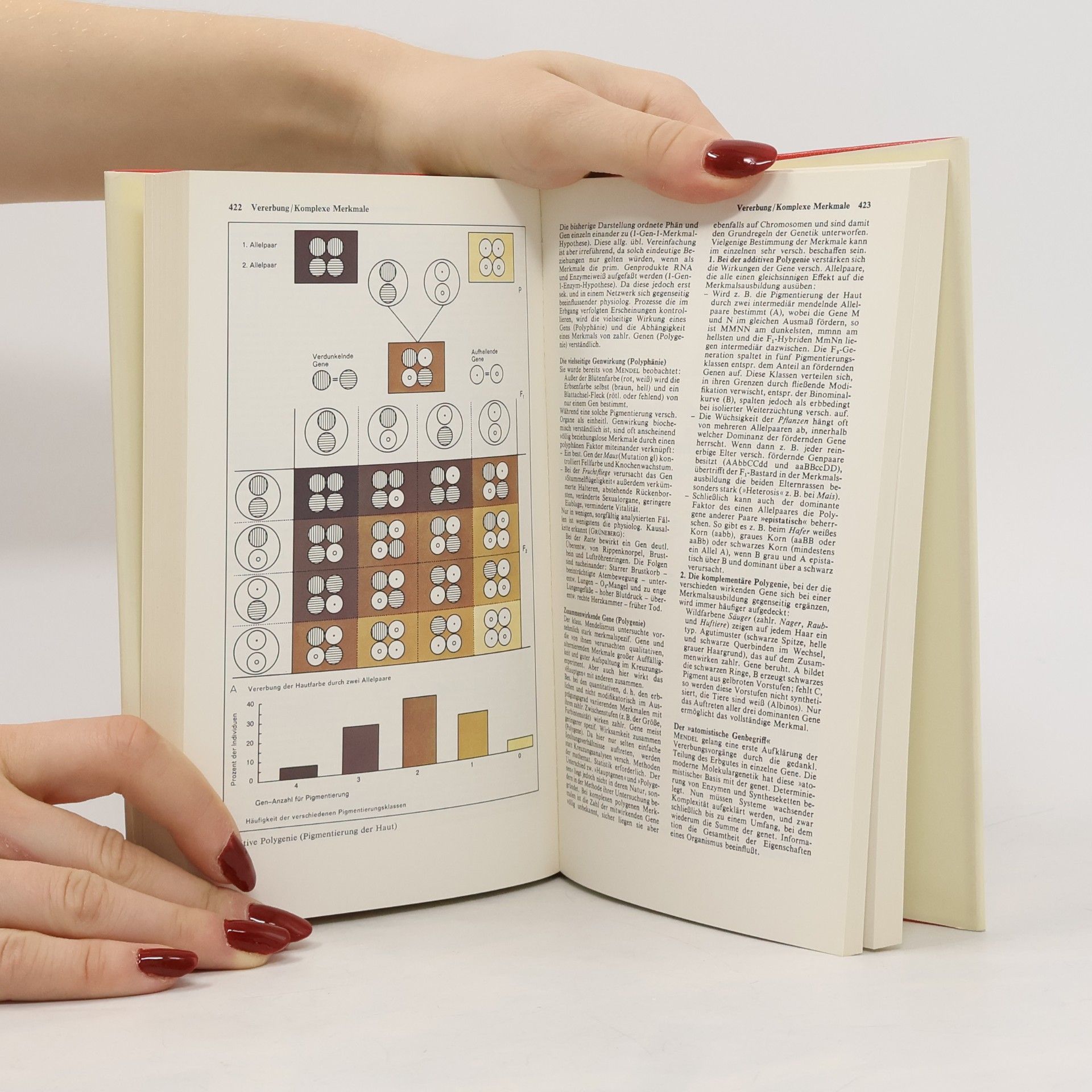 Günter Vogel Atlas zur Biologie 2