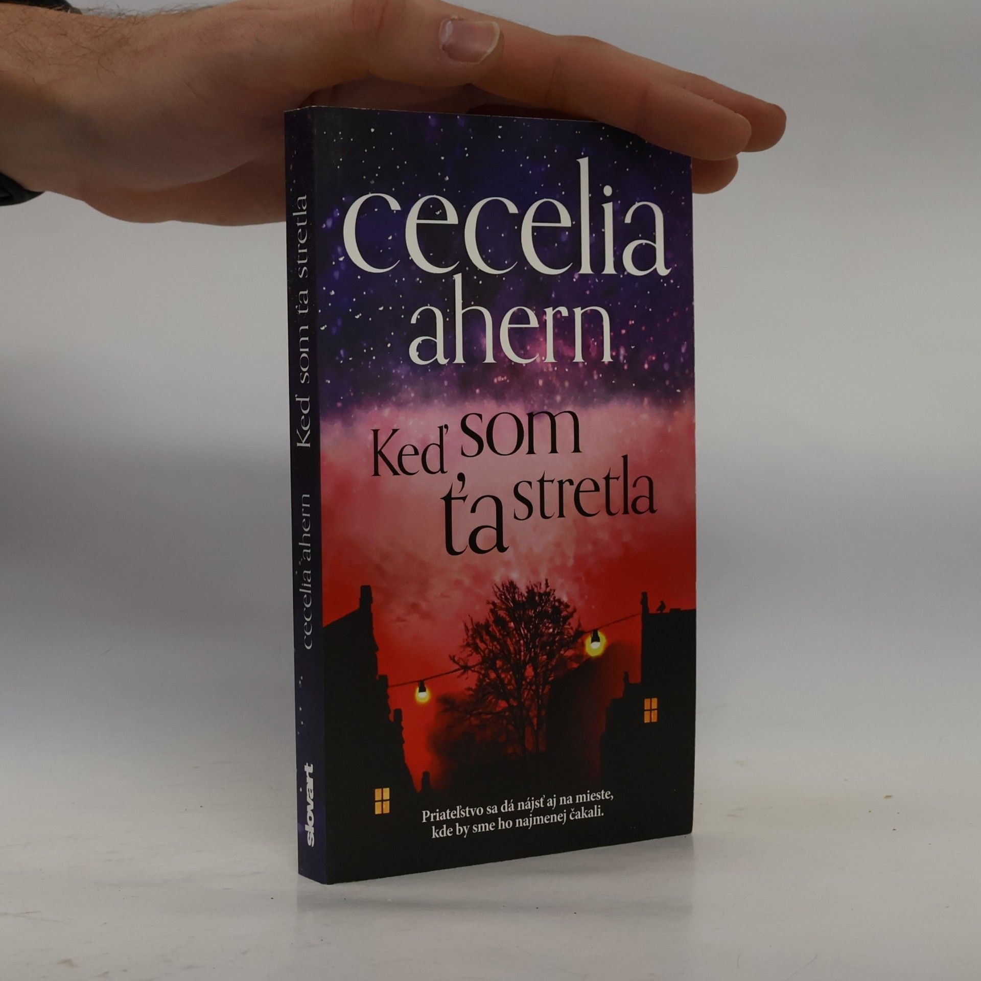 Cecelia Ahern Keď som Ťa stretla