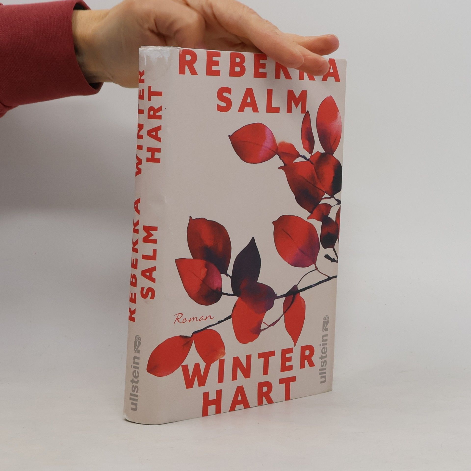 Rebekka Salm Winterhart: Roman | Ein Eheroman über das Erinnern und Vergessen, über das Altern und die Notwendigkeit radikaler Entscheidungen