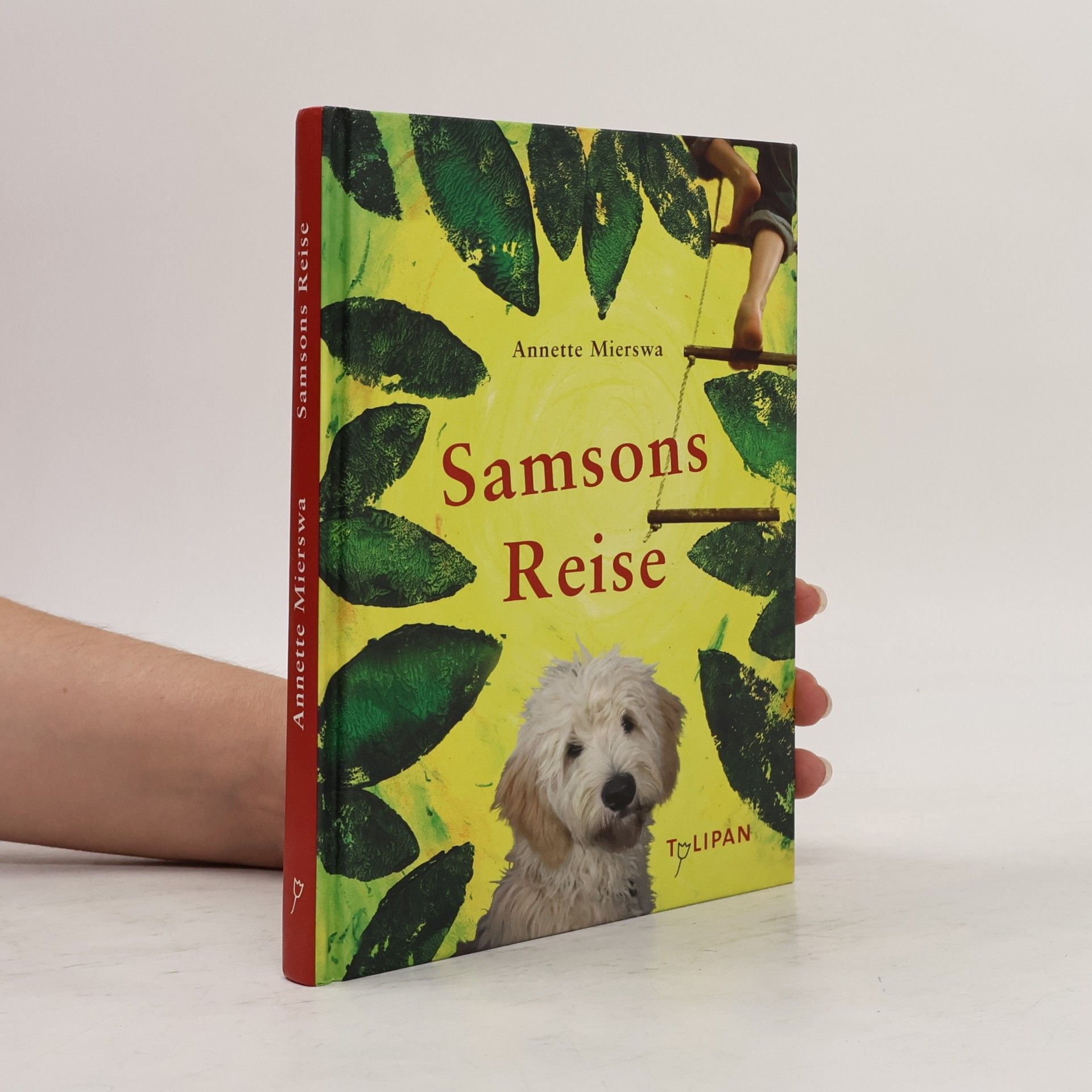 Samsons Reise