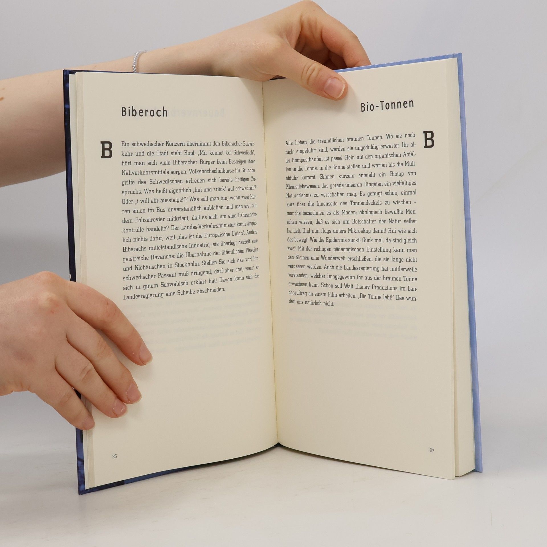 Annette Schavong Das böse Buch für's Ländle