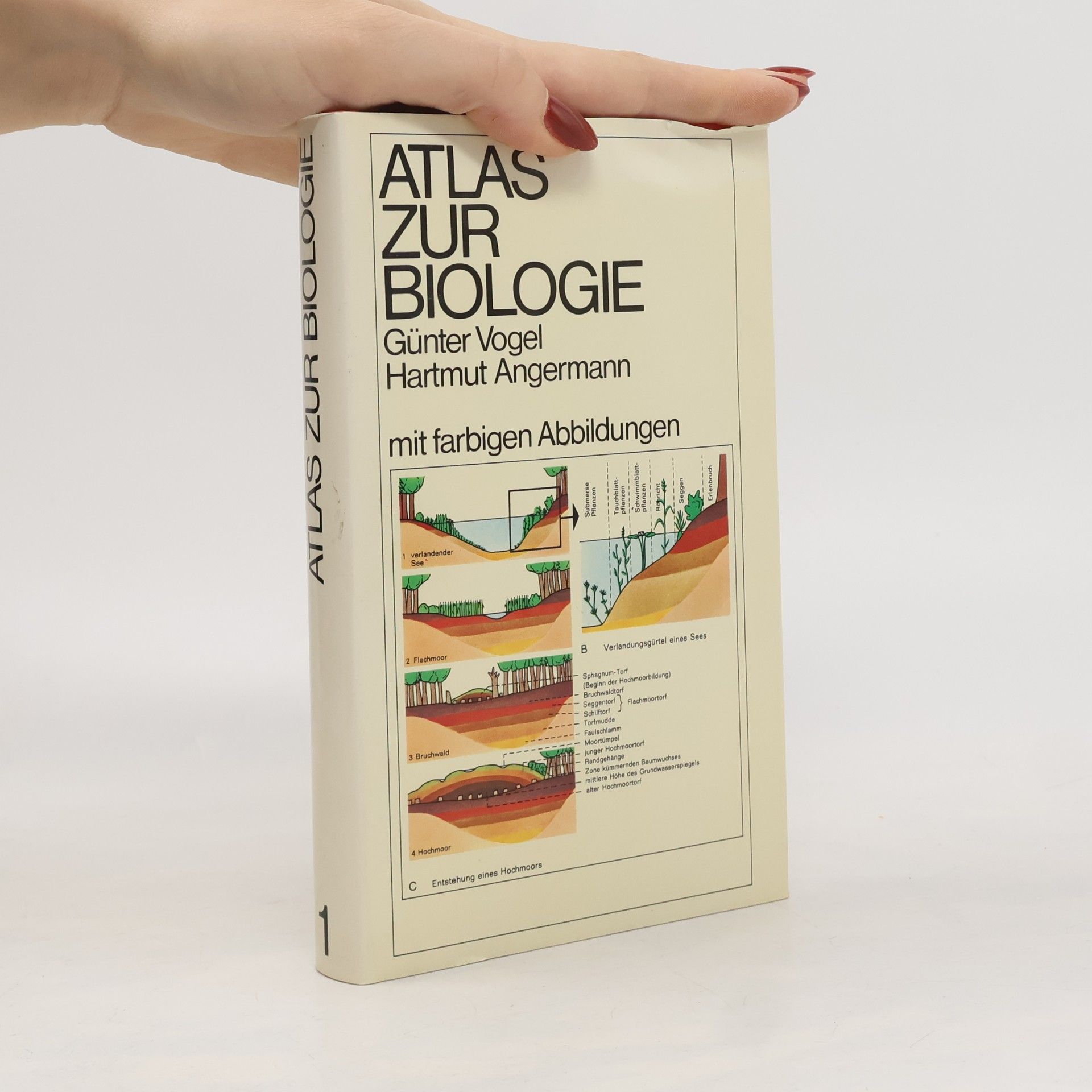 Atlas zur Biologie 1