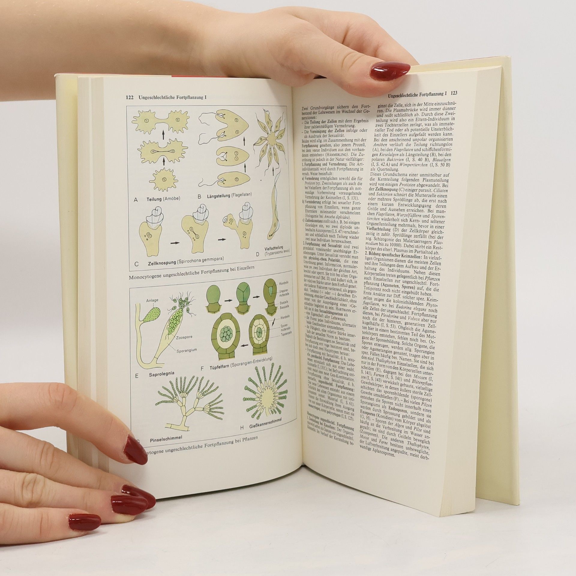 Günter Vogel Atlas zur Biologie 1