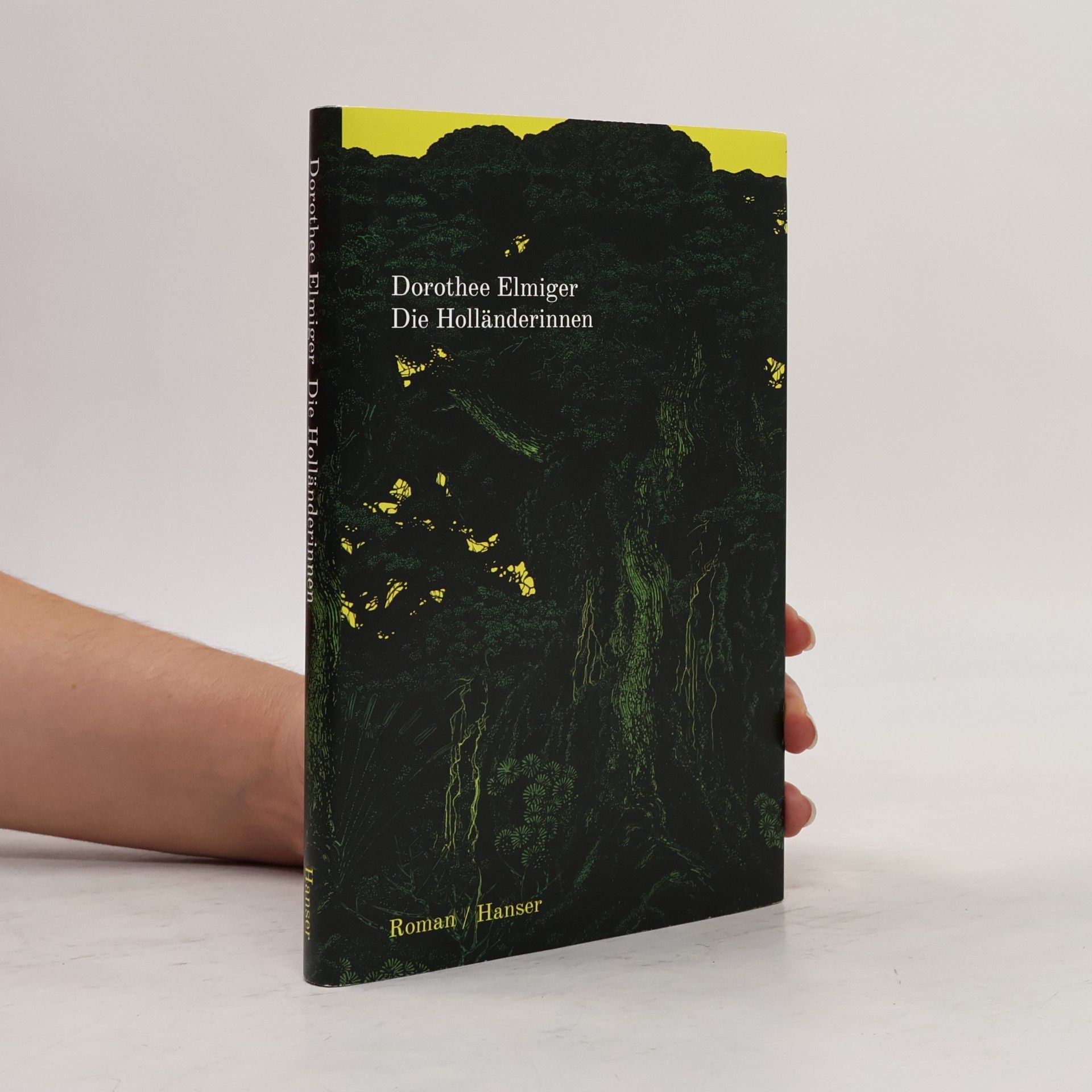 Dorothee Elmiger Die Holländerinnen