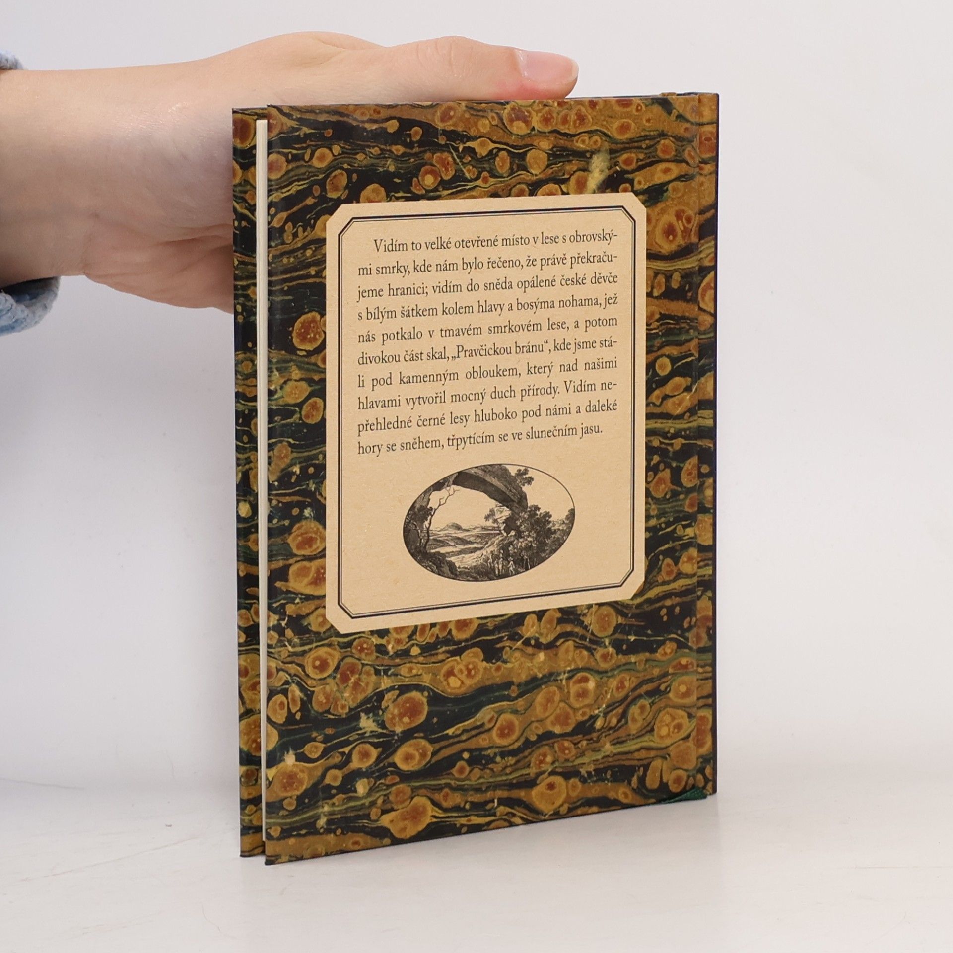 Hans Christian Andersen Zpráva o cestě do Saského Švýcarska. Stínové obrázky z cesty do Harzu a Saského Švýcarska