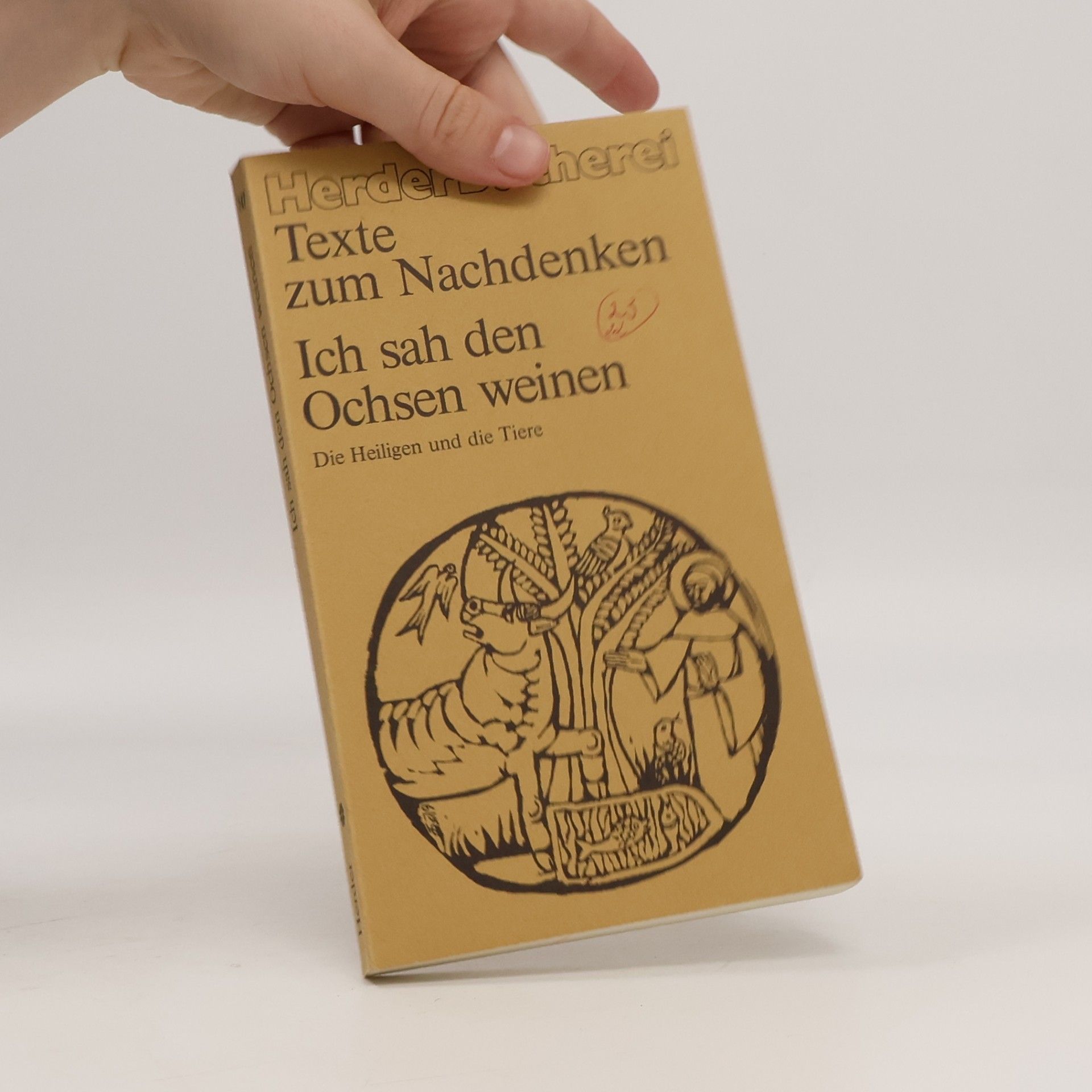 Ich sah den Ochsen weinen