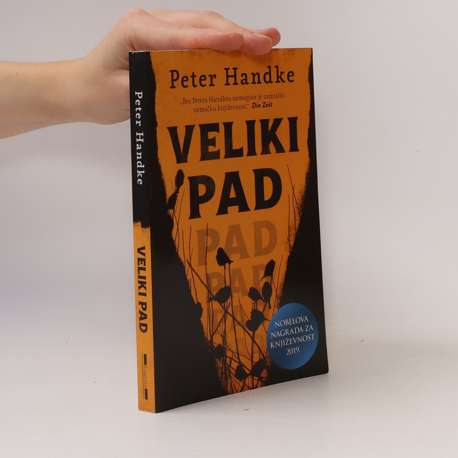Peter Handke Veliki pad