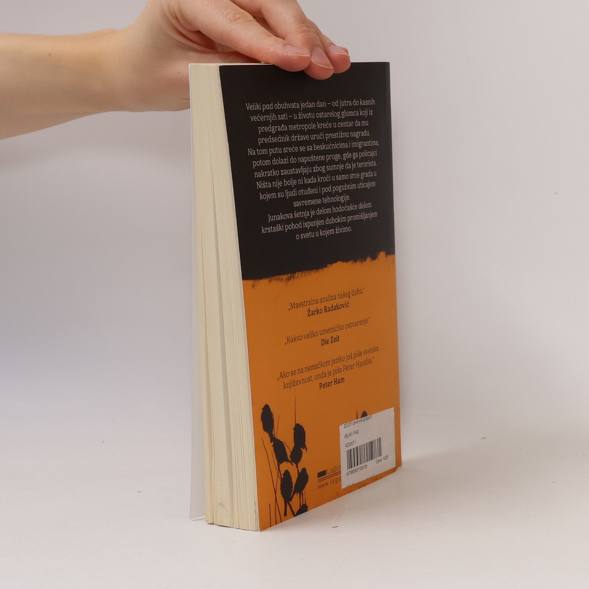 Peter Handke Veliki pad