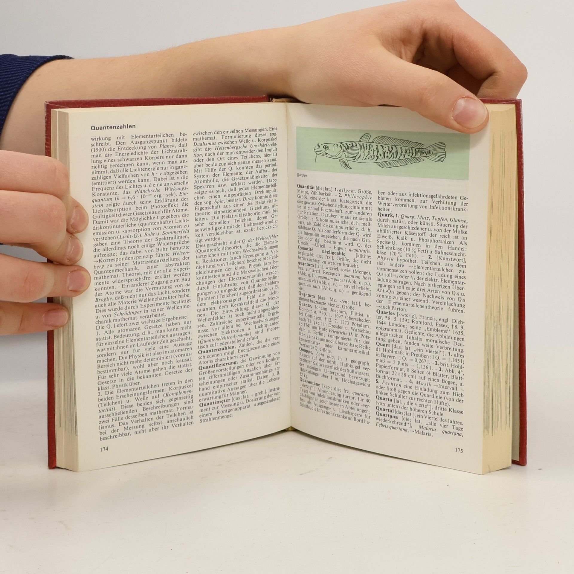 Autorenkollektiv Das moderne Lexikon 15. Poly-Roha