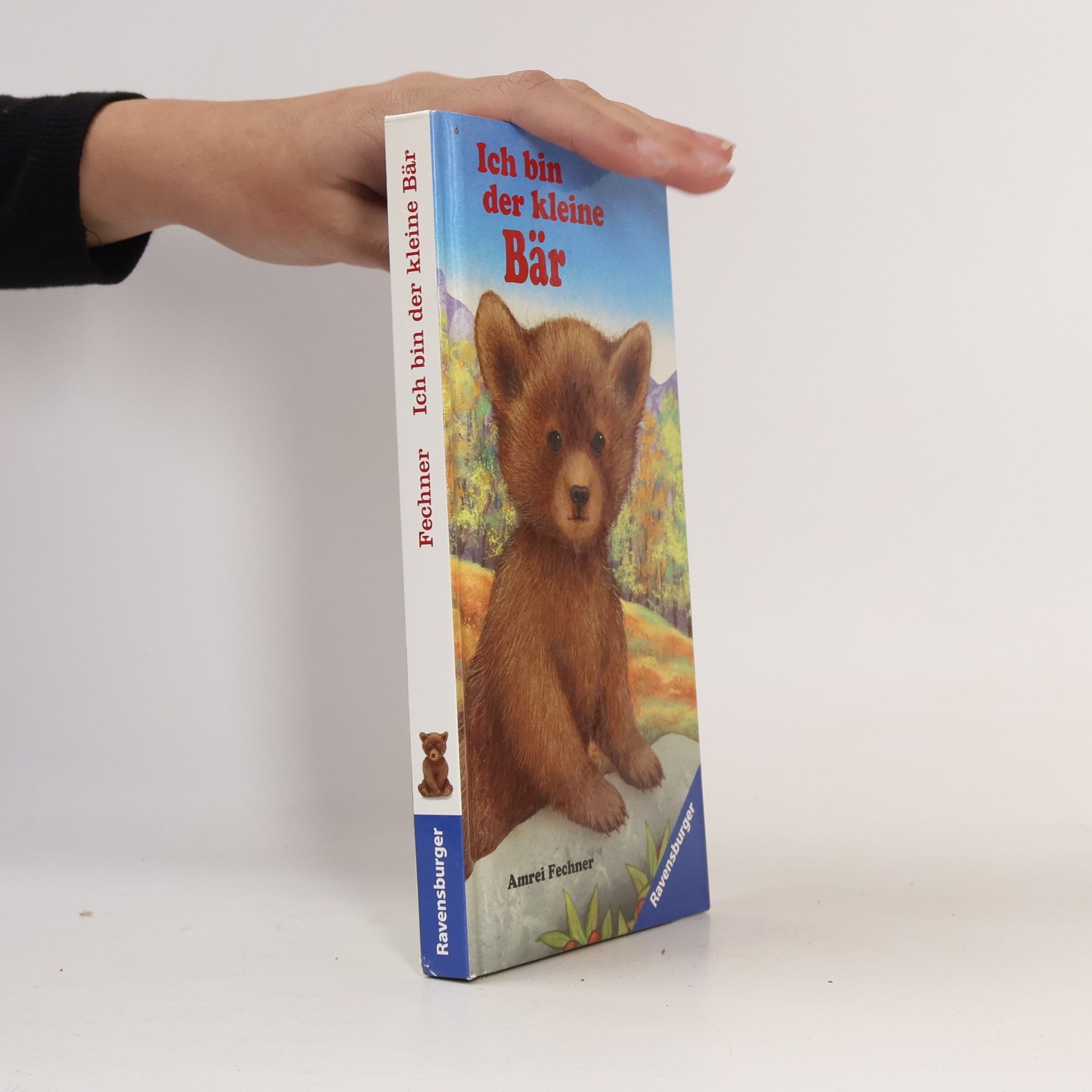Ich bin der kleine Bär