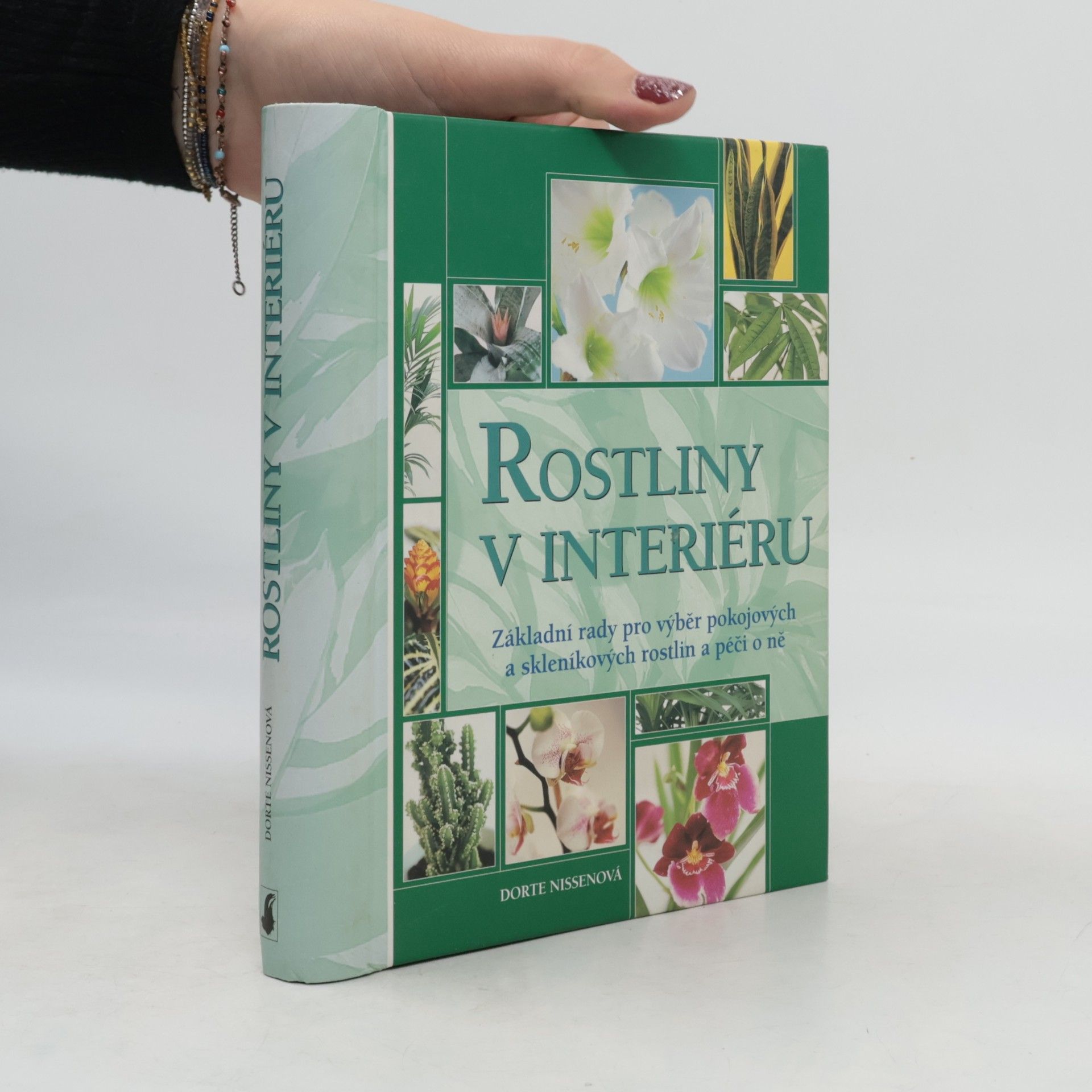 Rostliny v interiéru