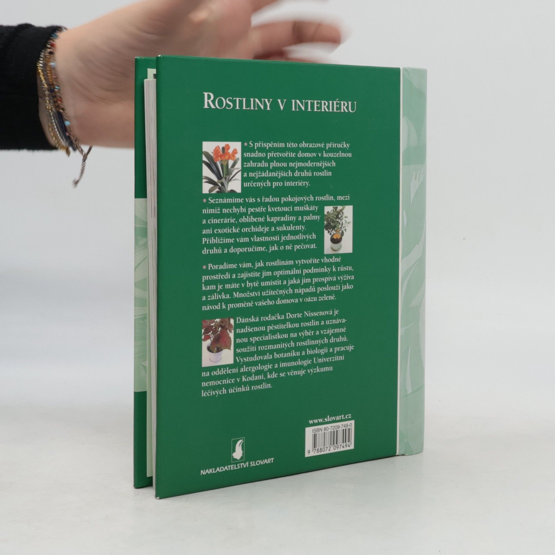 Dorte Nissen Rostliny v interiéru