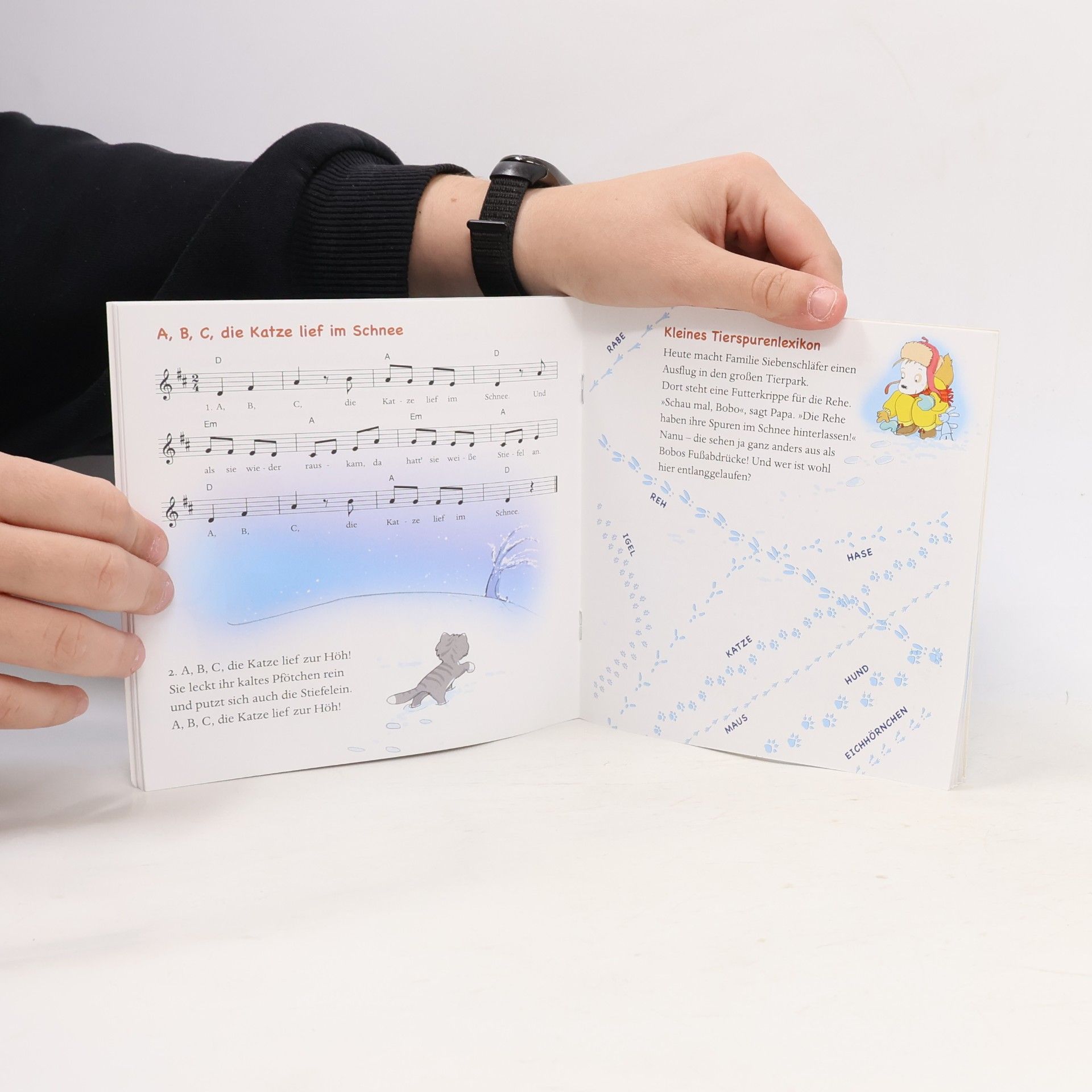 Marcus Osterwalder Maxi Pixi 440: Bobo Siebenschläfer: Bobo erlebt den Winter