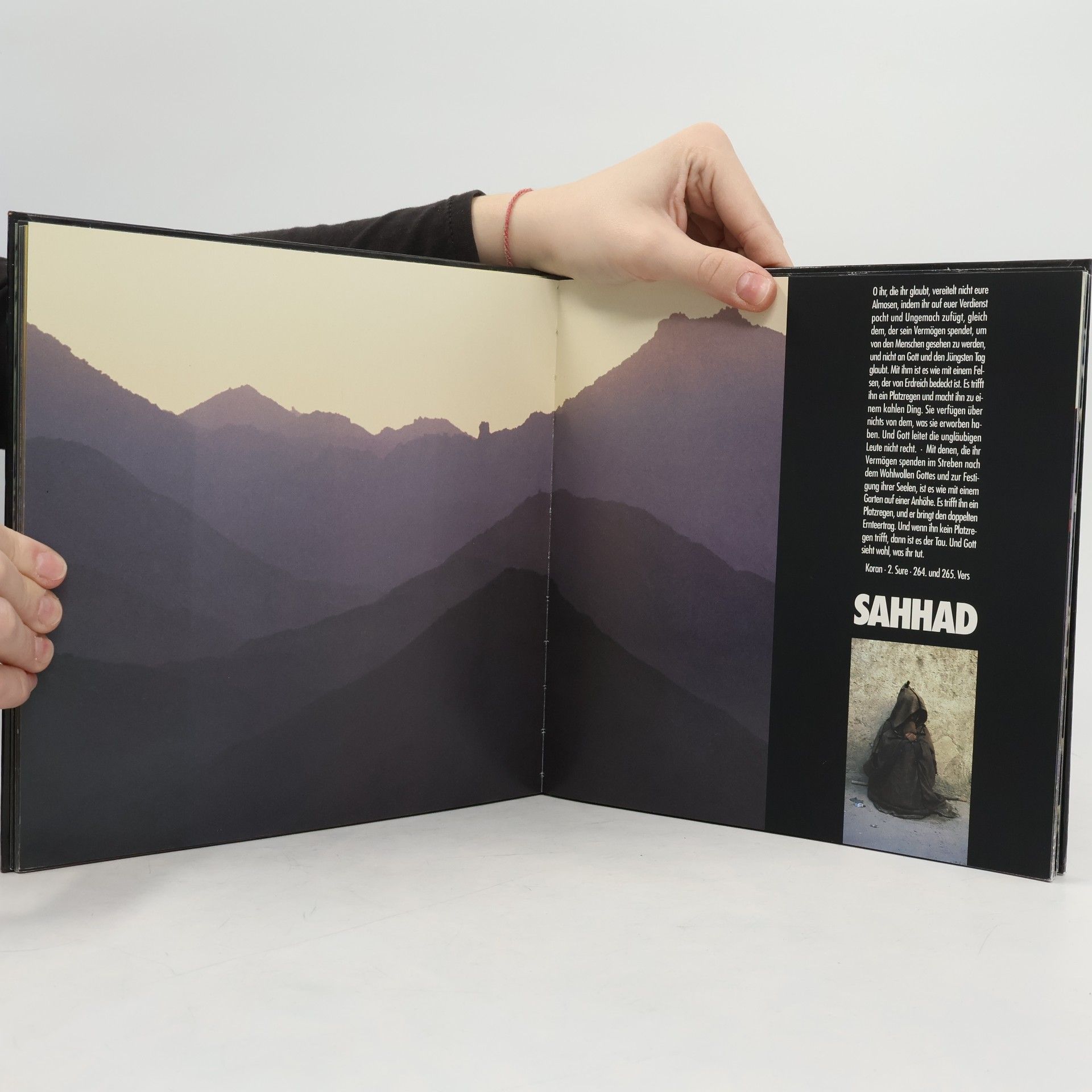 Michael Martin Sahara