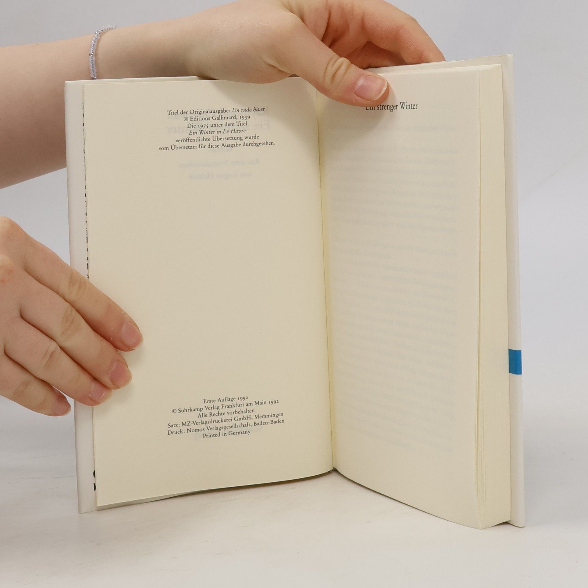 Raymond Queneau Ein strenger Winter
