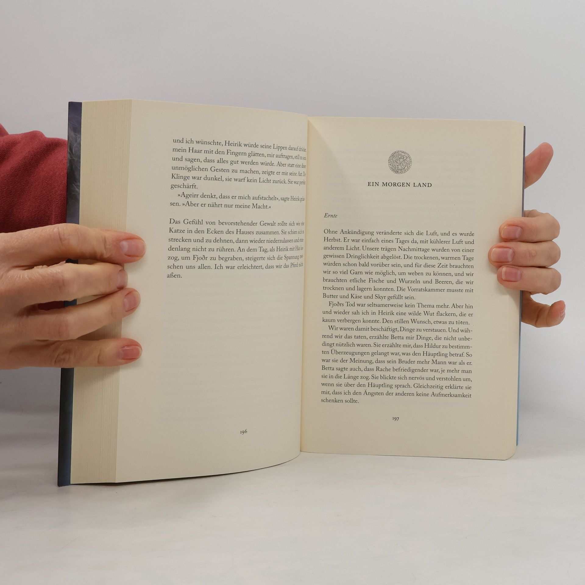 Larissa Brown Feuer und Wind