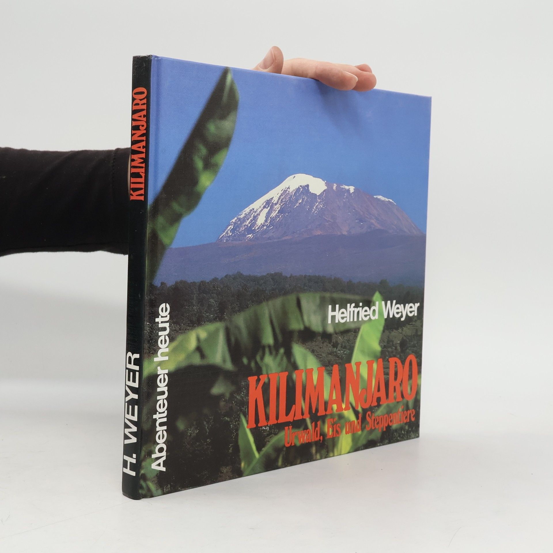Kilimanjaro