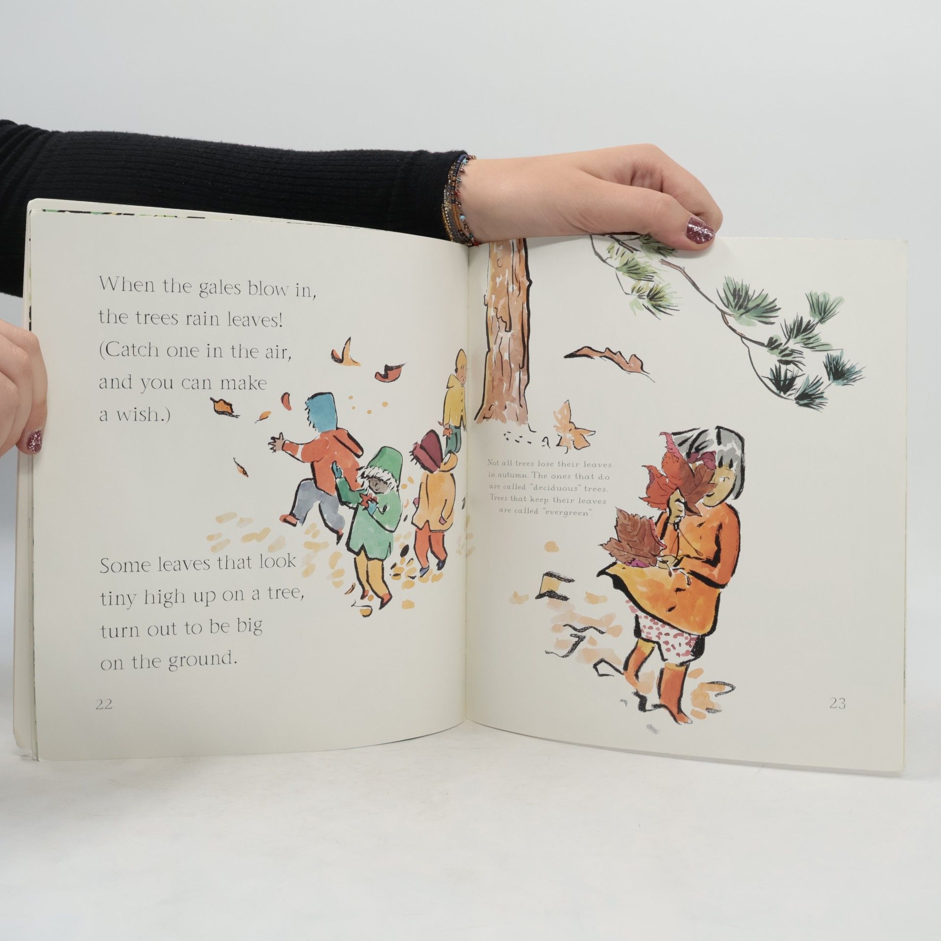 Christine Butterworth The things that I love about trees