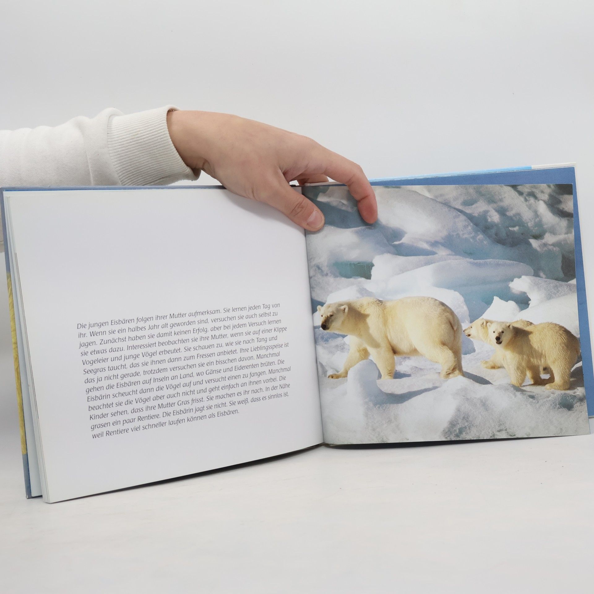 Thor Larsen Das Eisbären Kinder Buch