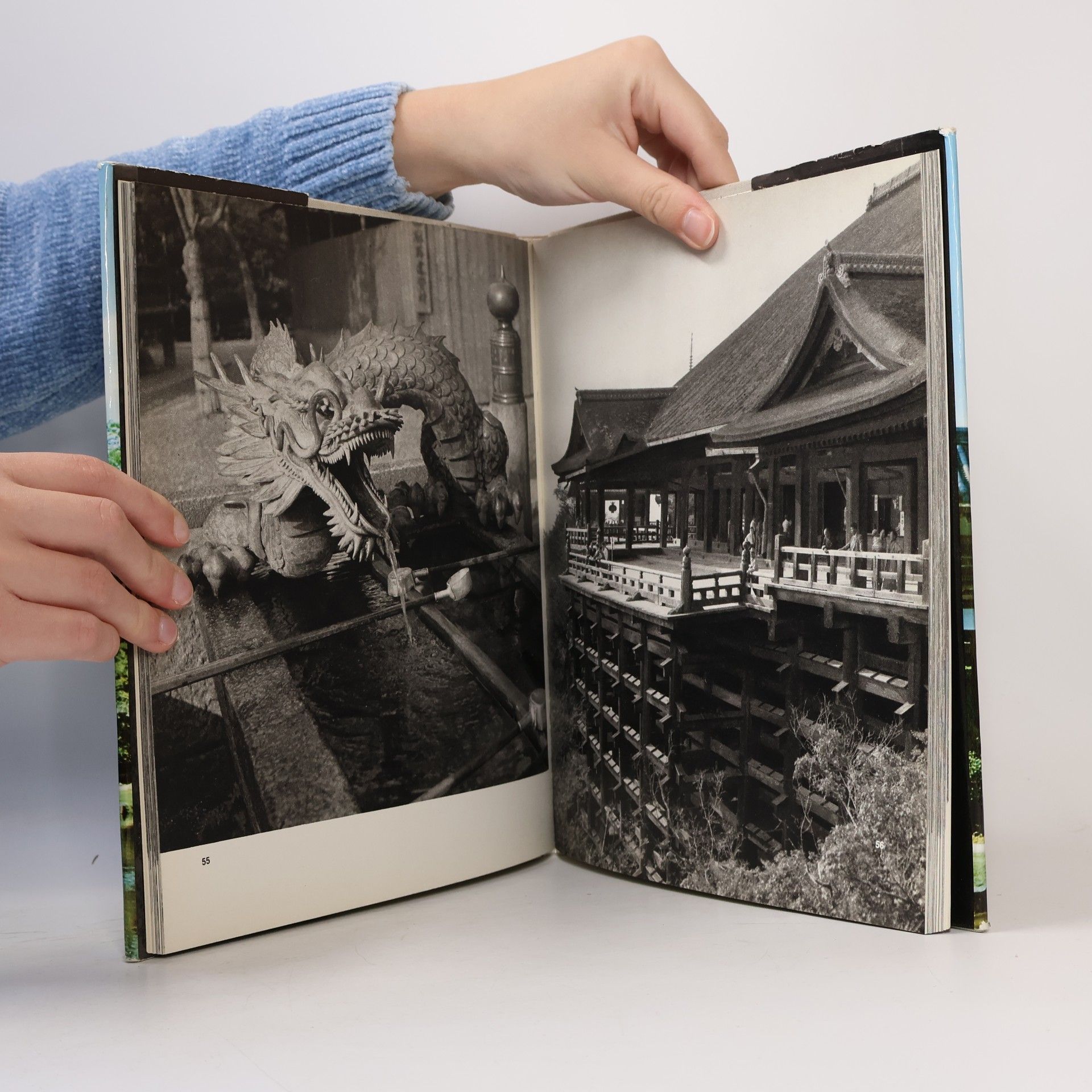Drahomír Illík Japonská architektura