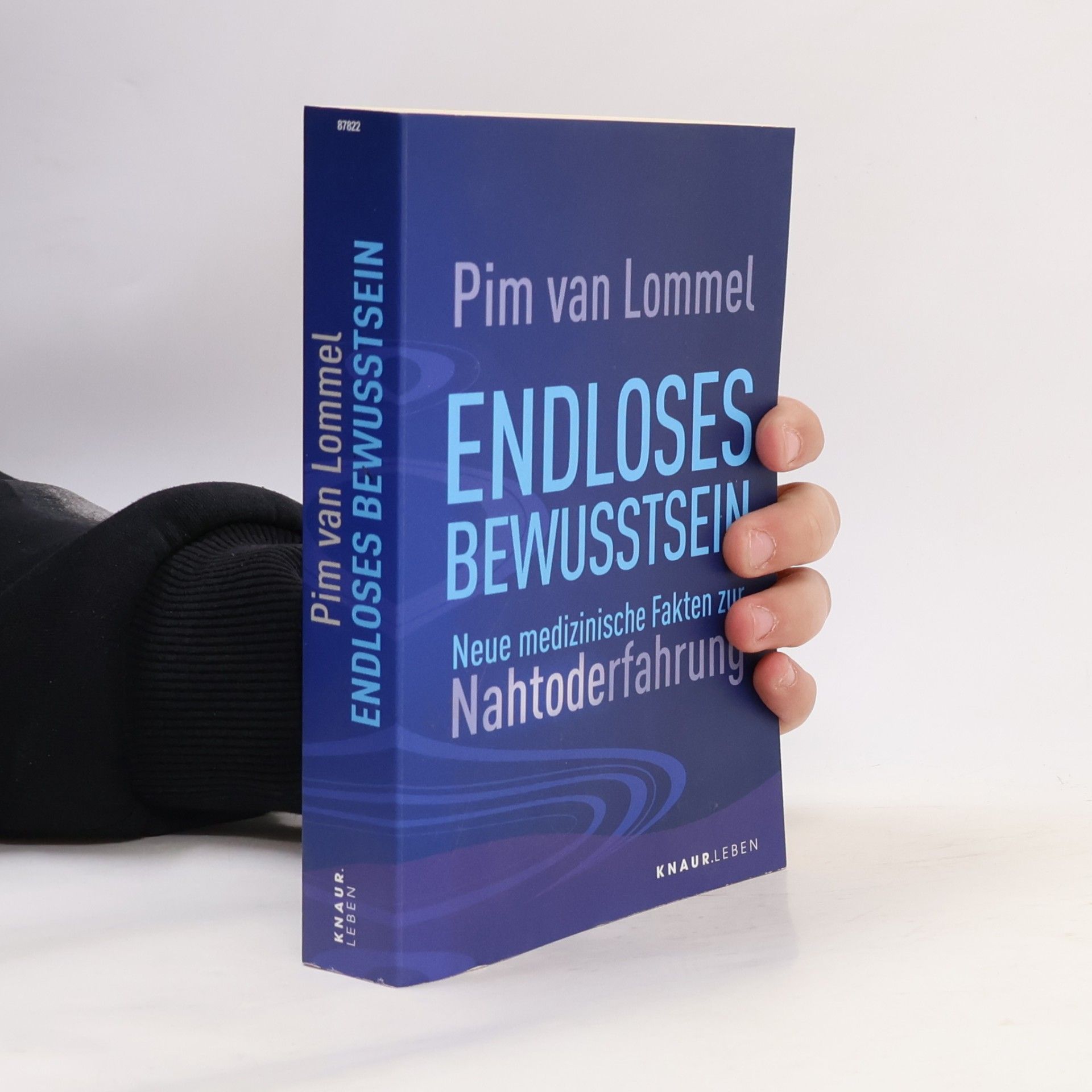 Pim van Lommel Endloses Bewusstsein