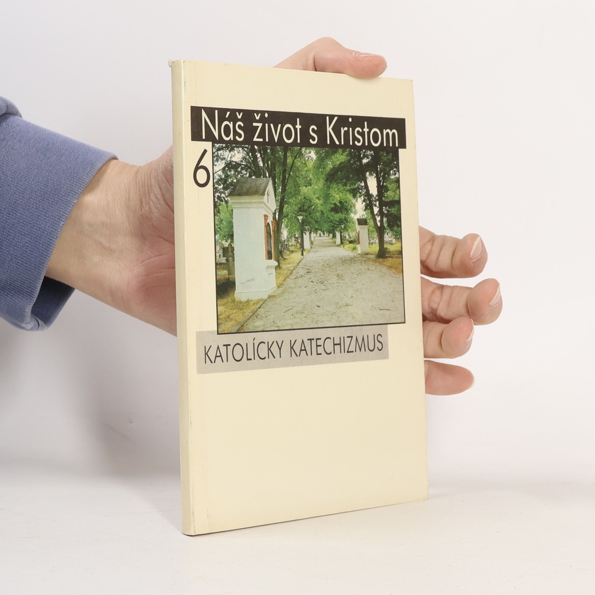 Náš život s Kristom 6 : Katolícky katechizmus