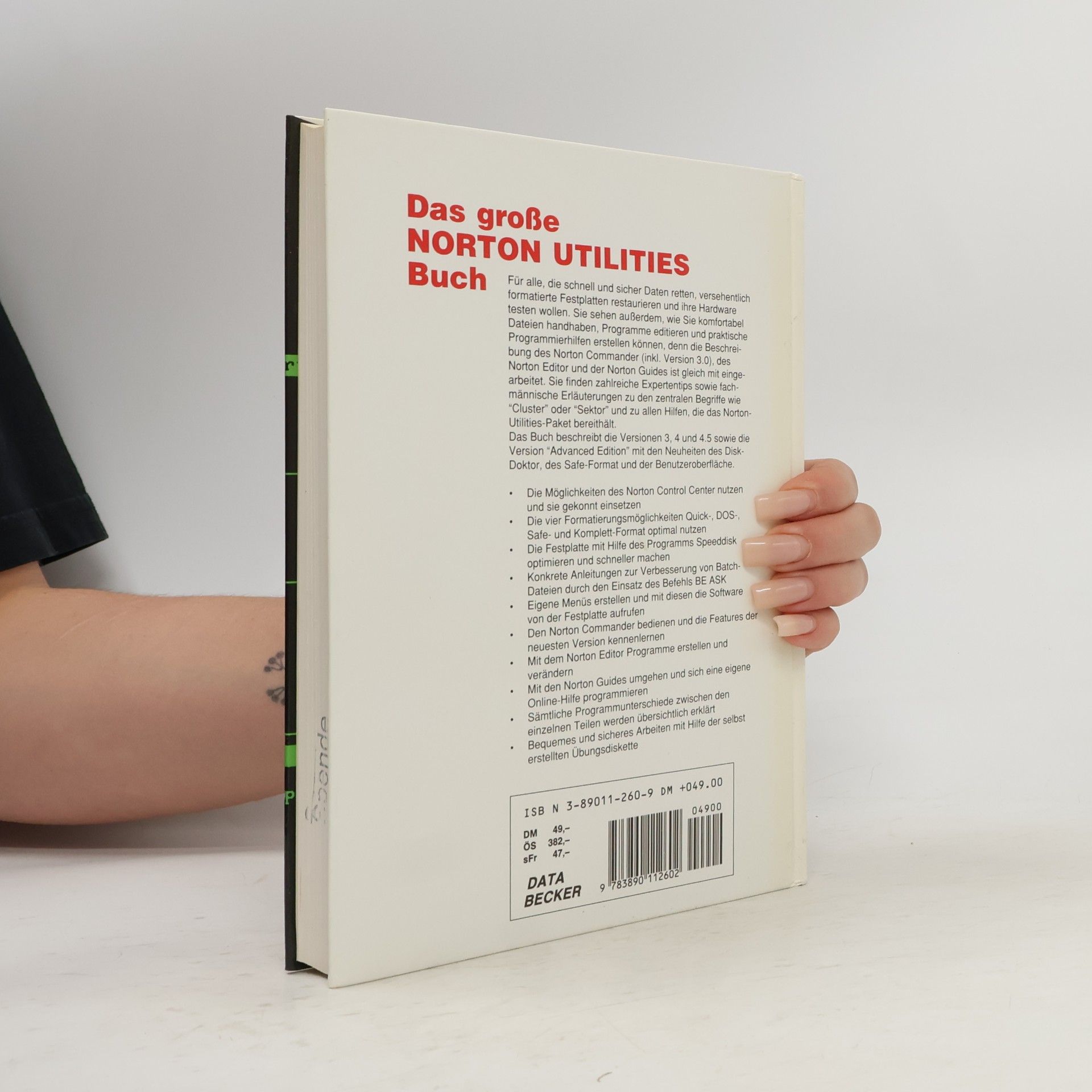 Michael Schumann Das grosse Norton-Utilities-Buch