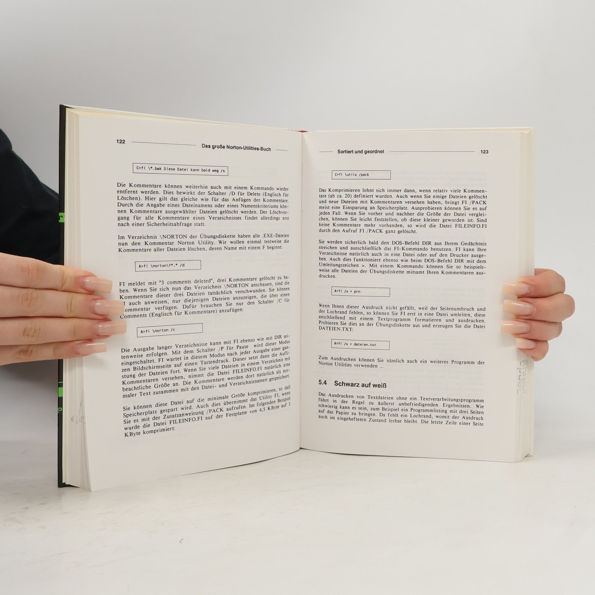 Michael Schumann Das grosse Norton-Utilities-Buch