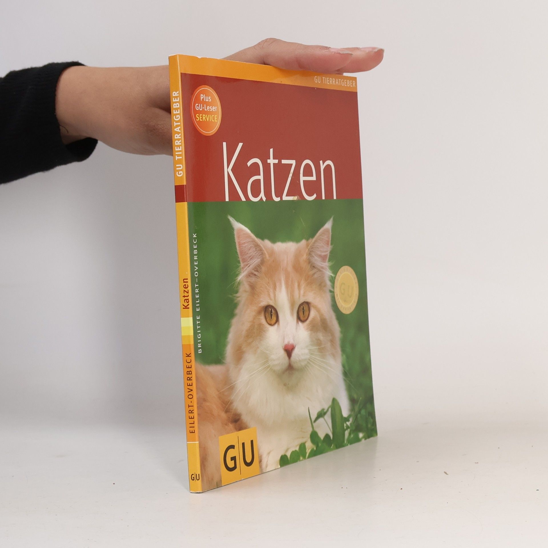 Katzen