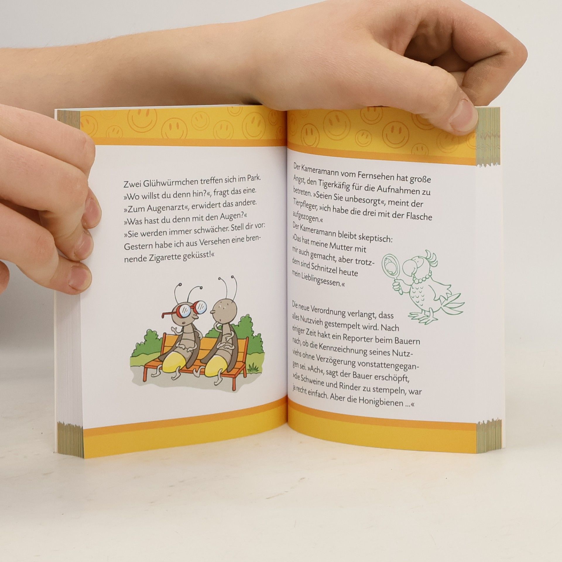 Ute Löwenberg Mein dickes Witzebuch