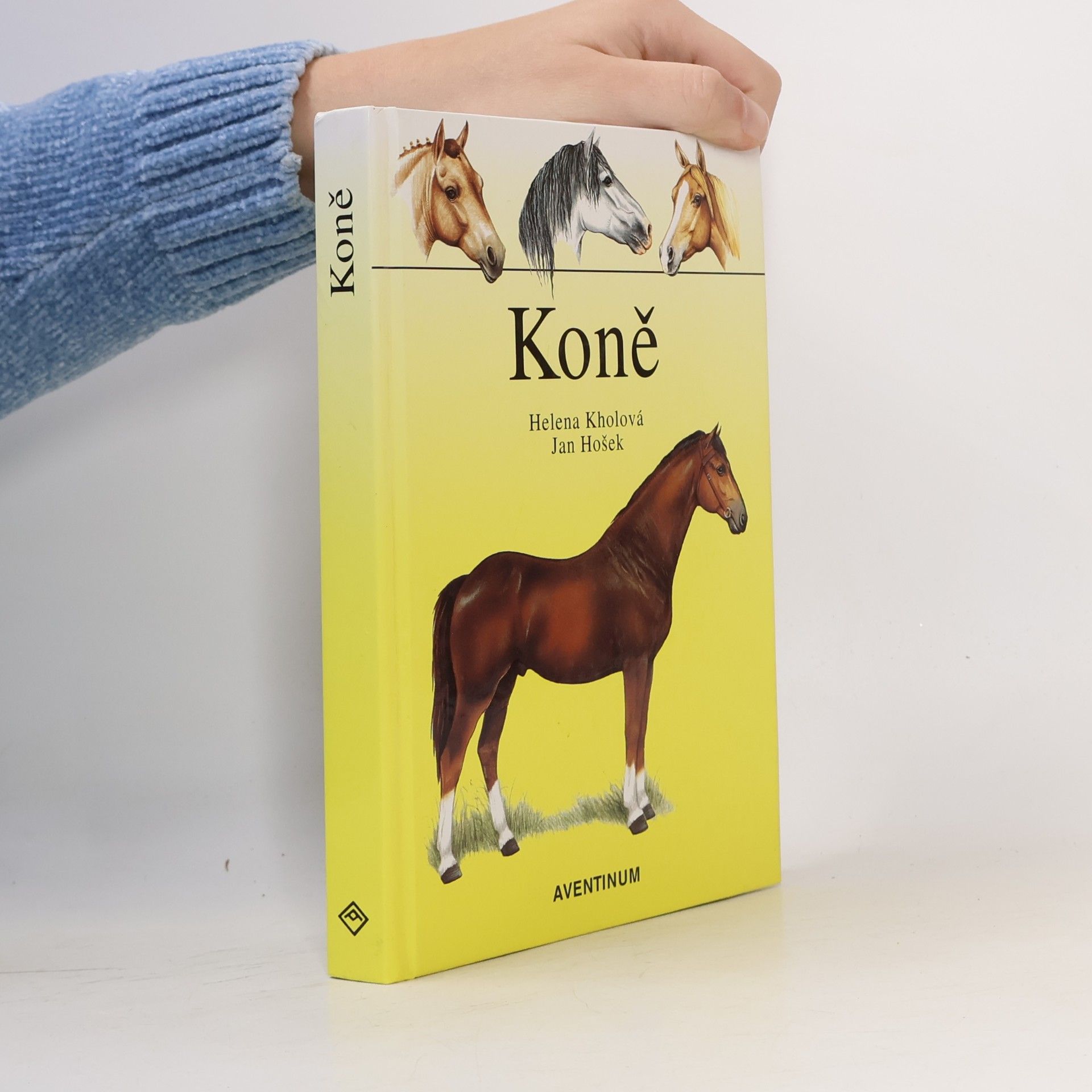 Koně