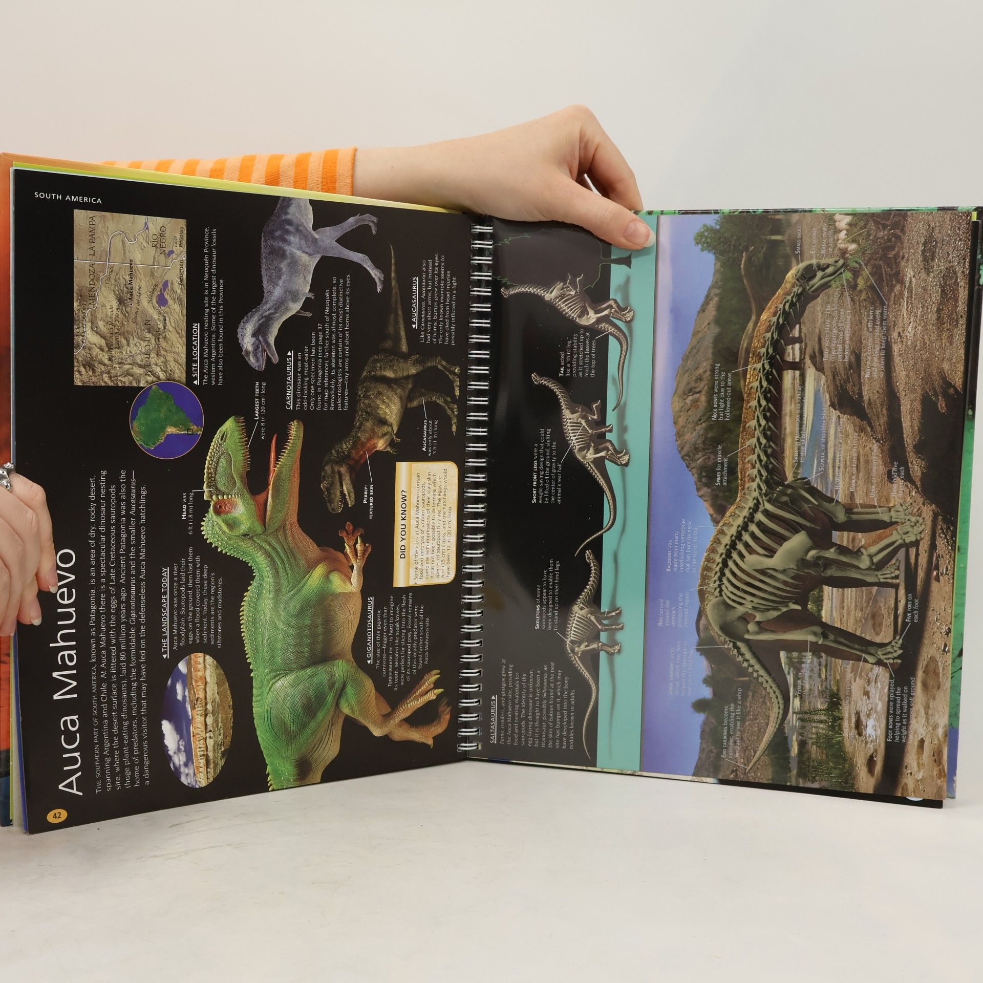 John Malam Dinosaur Atlas