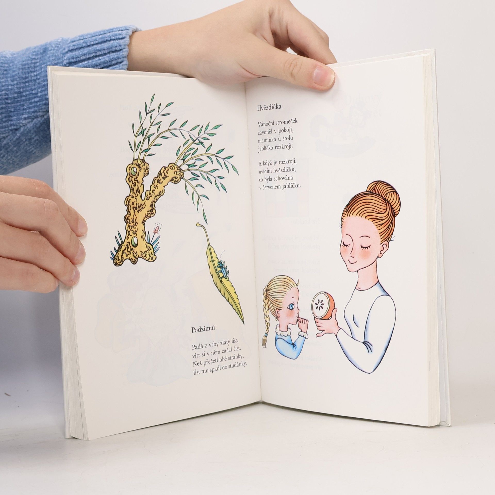 Oldřich Syrovátka Pohádky z duhové zahrádky