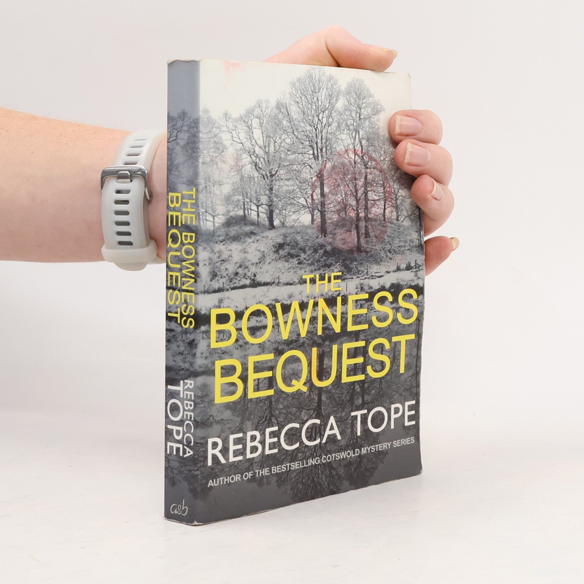 Rebecca Tope Lake District Mysteries - 6: The Bowness Bequest