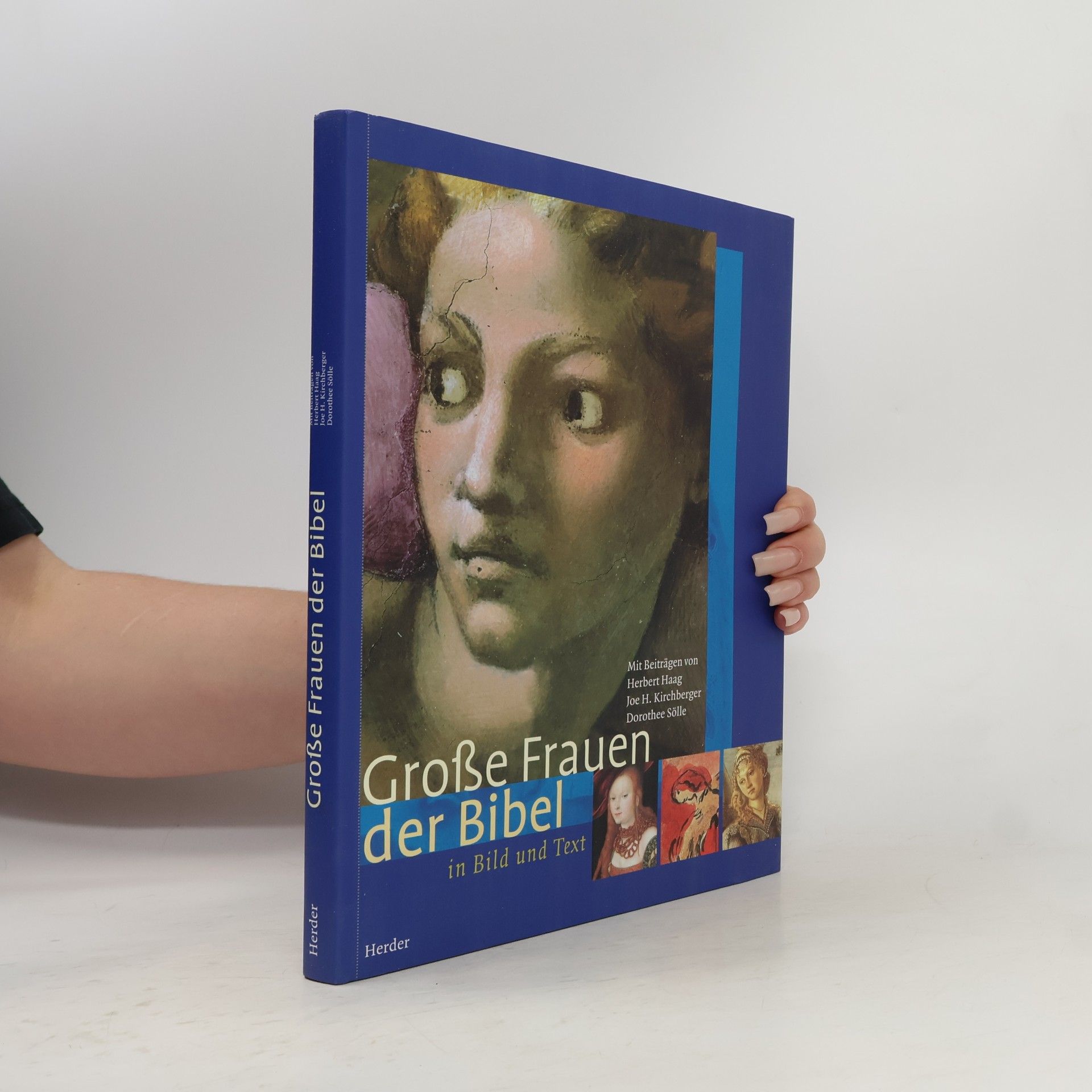 Große Frauen der Bibel in Bild und Text