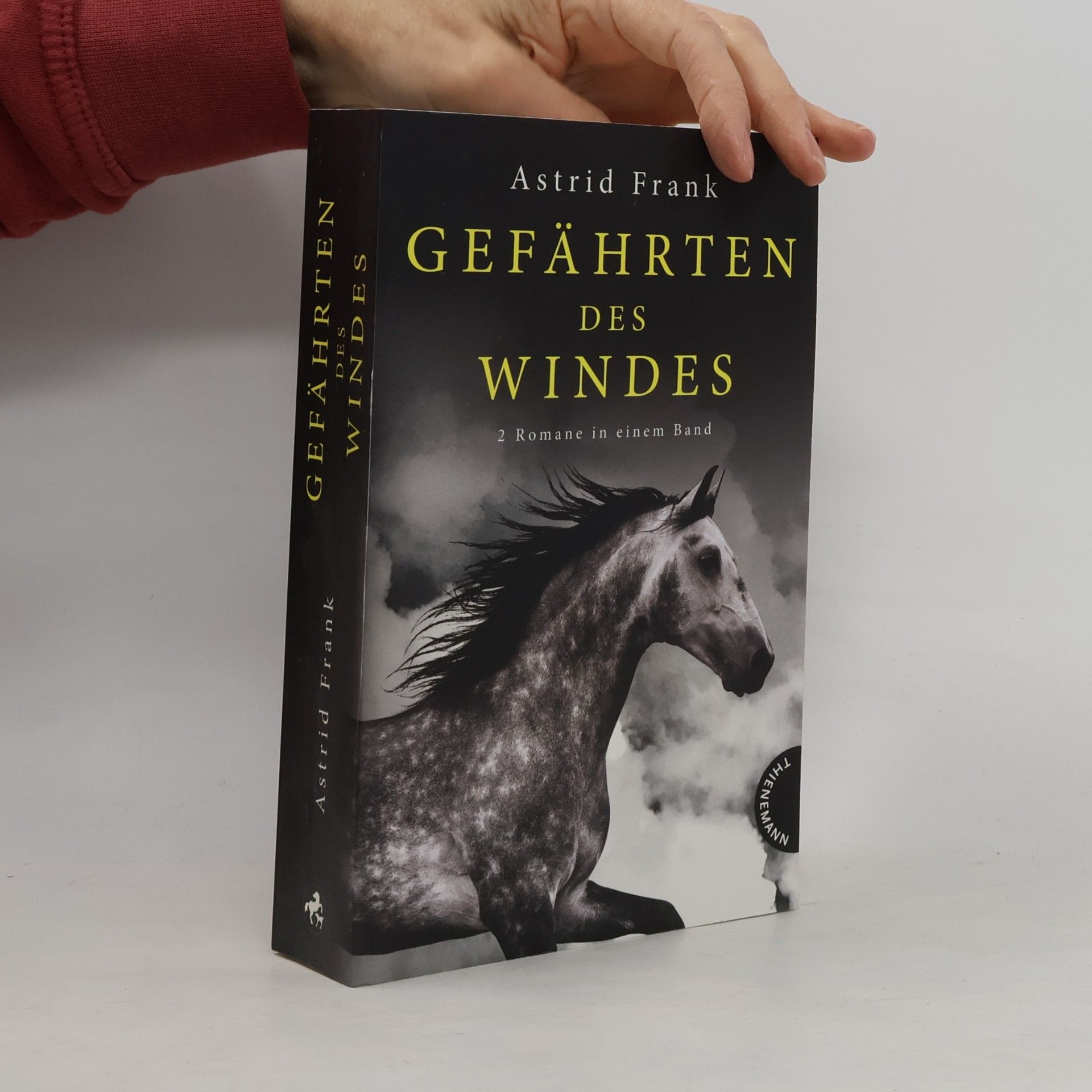 Gefährten des Windes